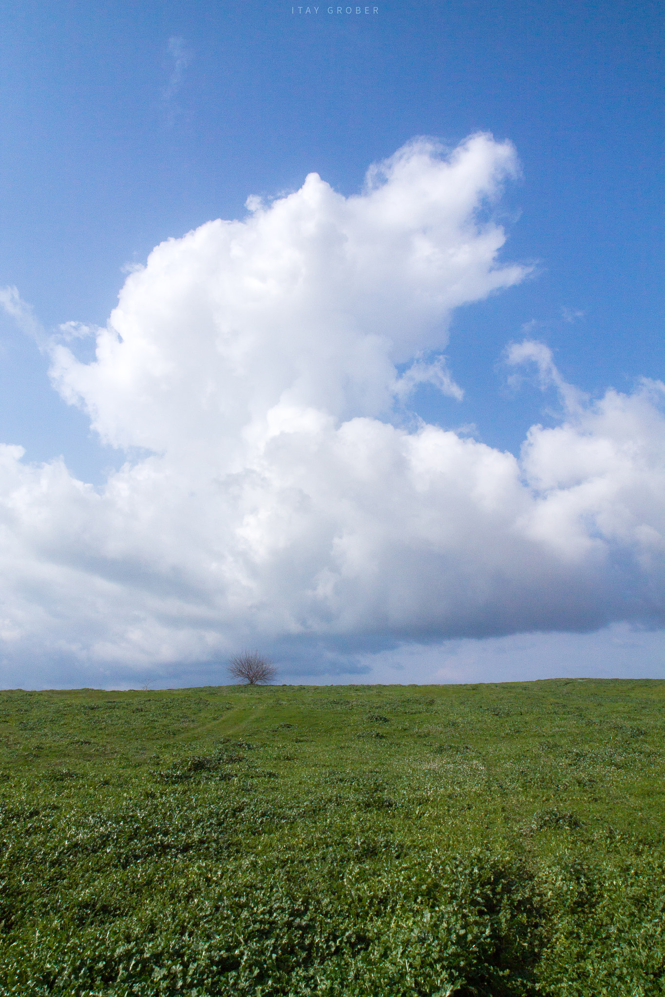 Canon EF-S 17-55mm F2.8 IS USM sample photo. The cloud photography