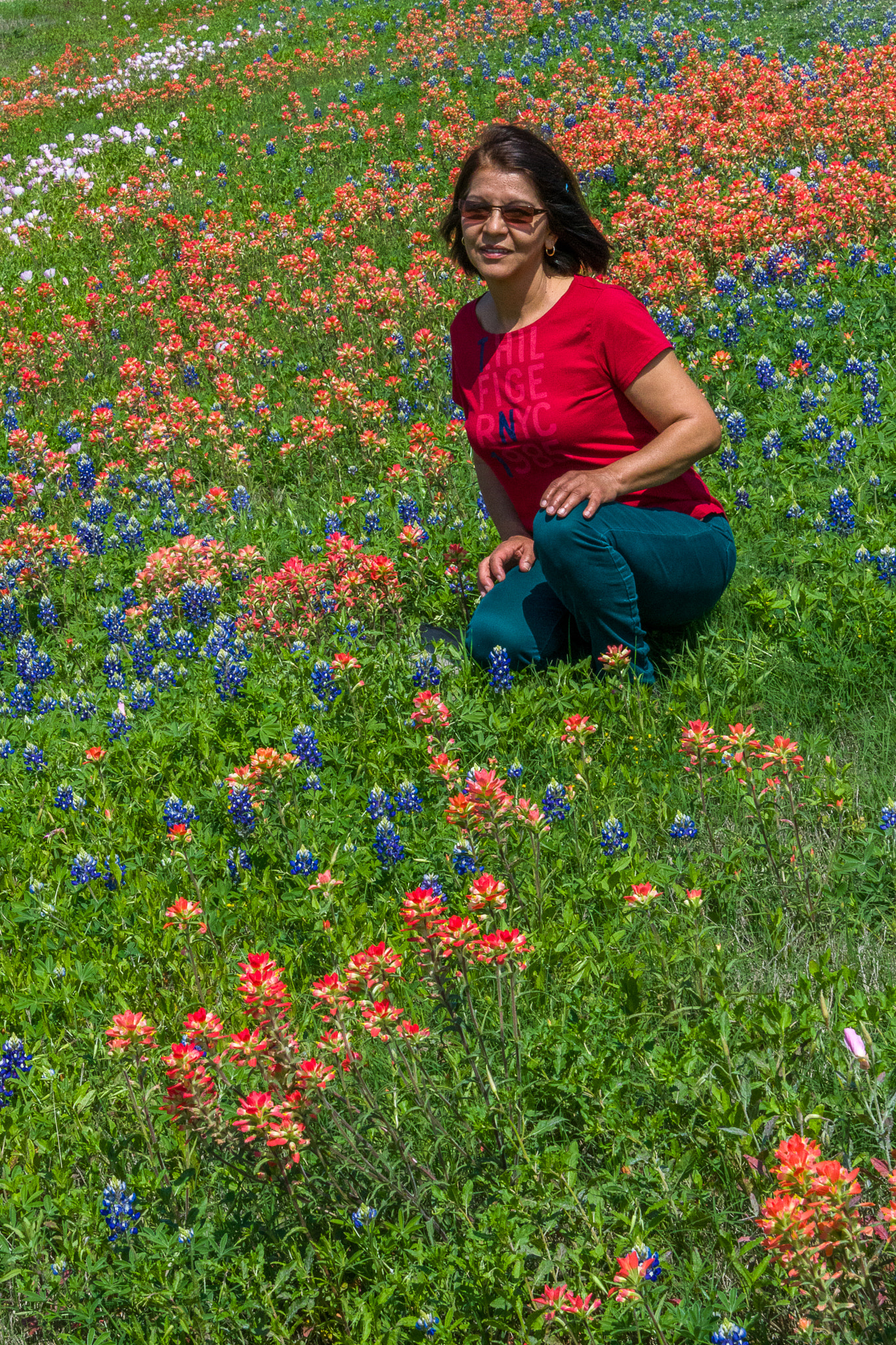 Nikon D500 sample photo. Lady bird photography