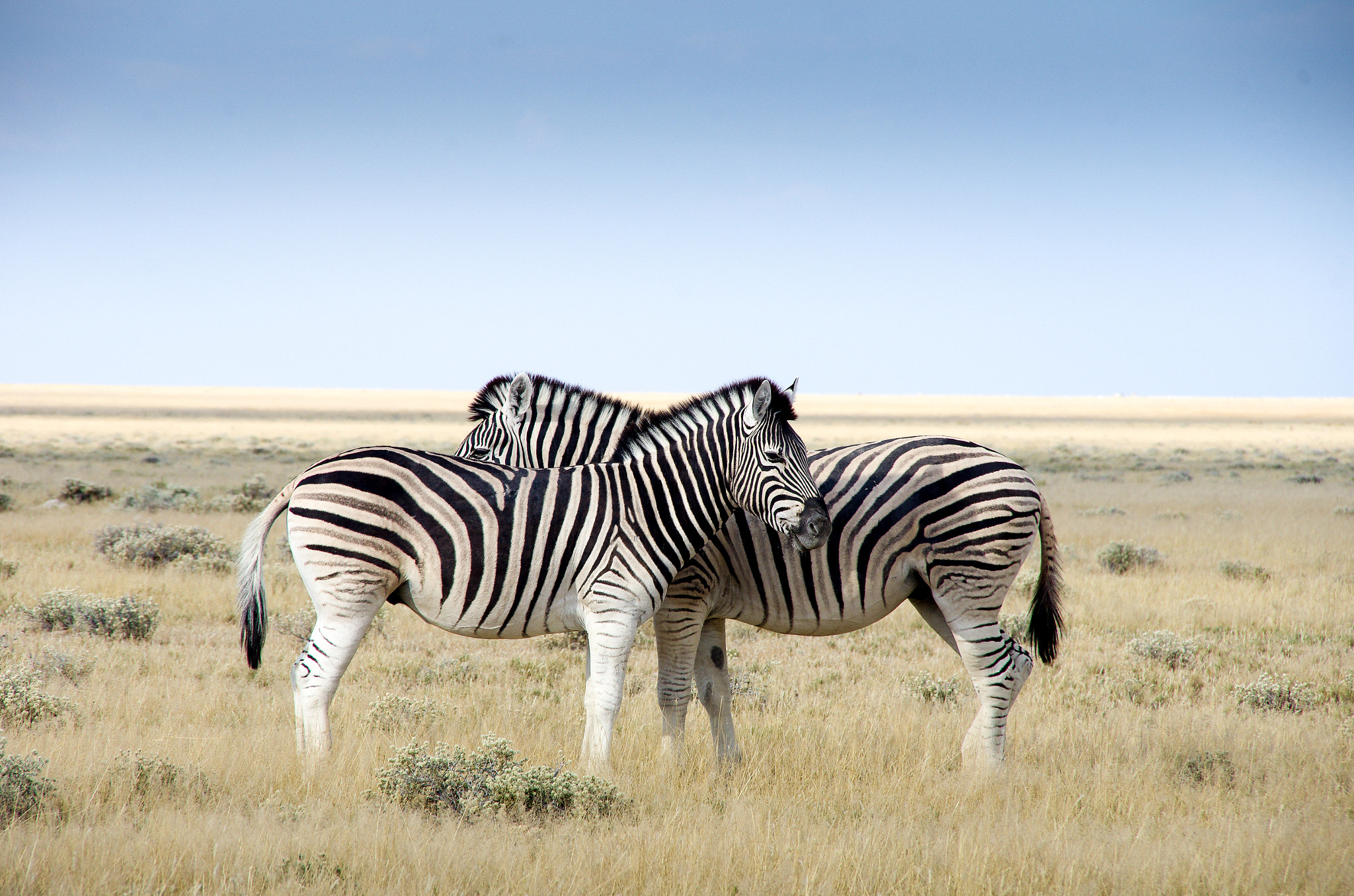 Pentax K-5 sample photo. Namibia photography