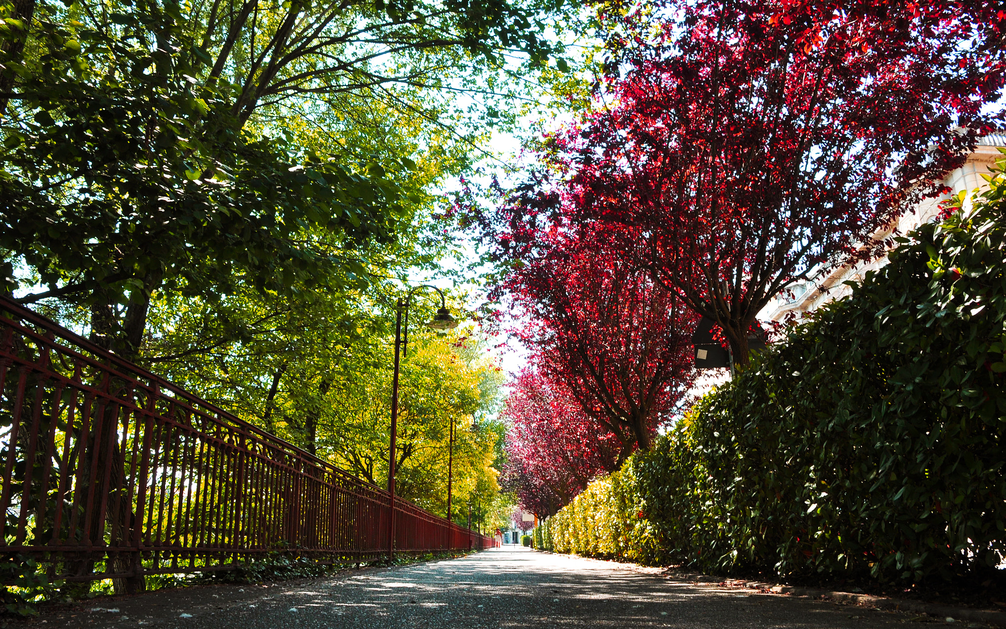 Nikon D90 sample photo. Boulevard of broken dreams photography