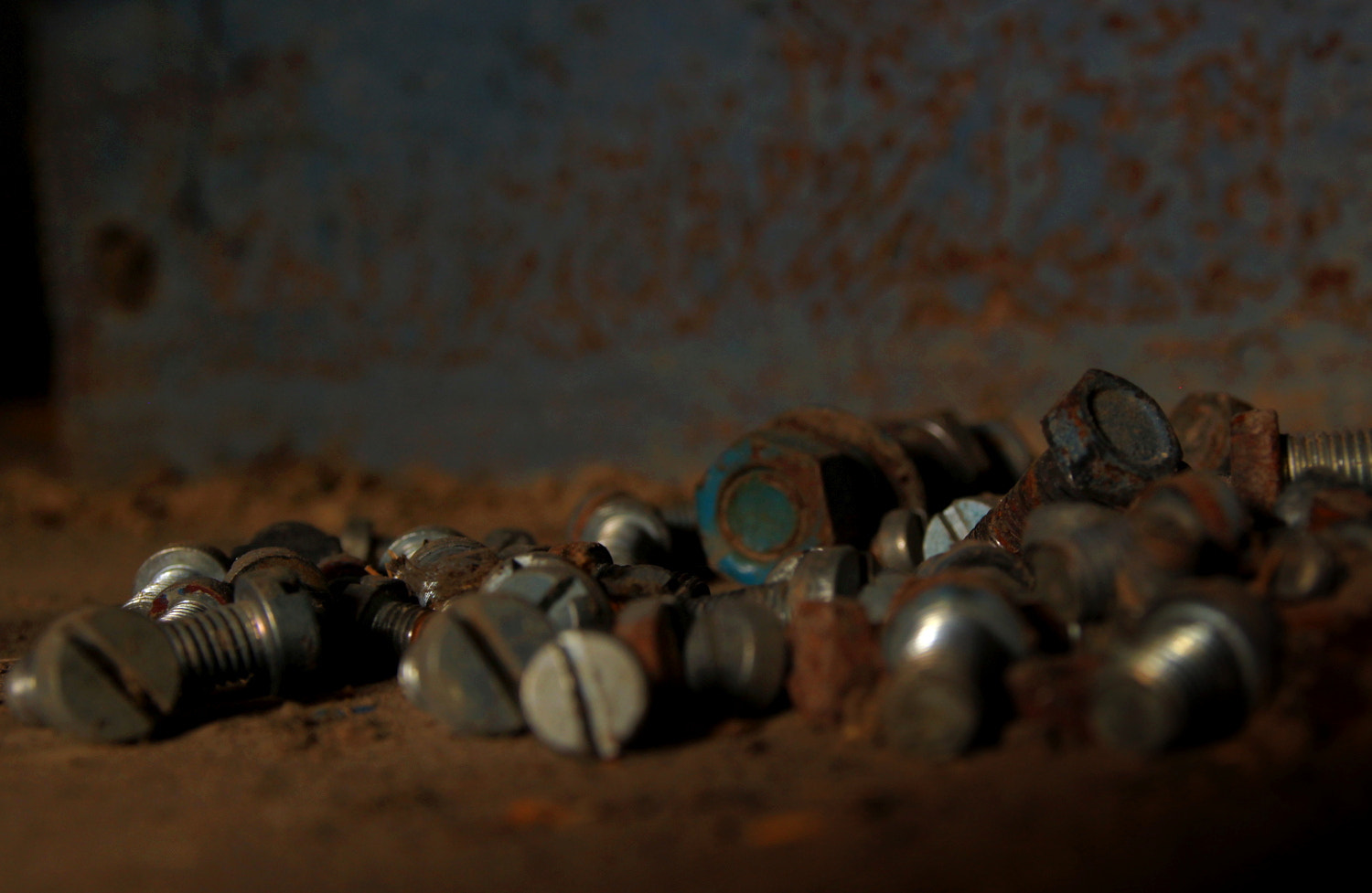 Canon EOS 100D (EOS Rebel SL1 / EOS Kiss X7) sample photo. Rusty screws photography
