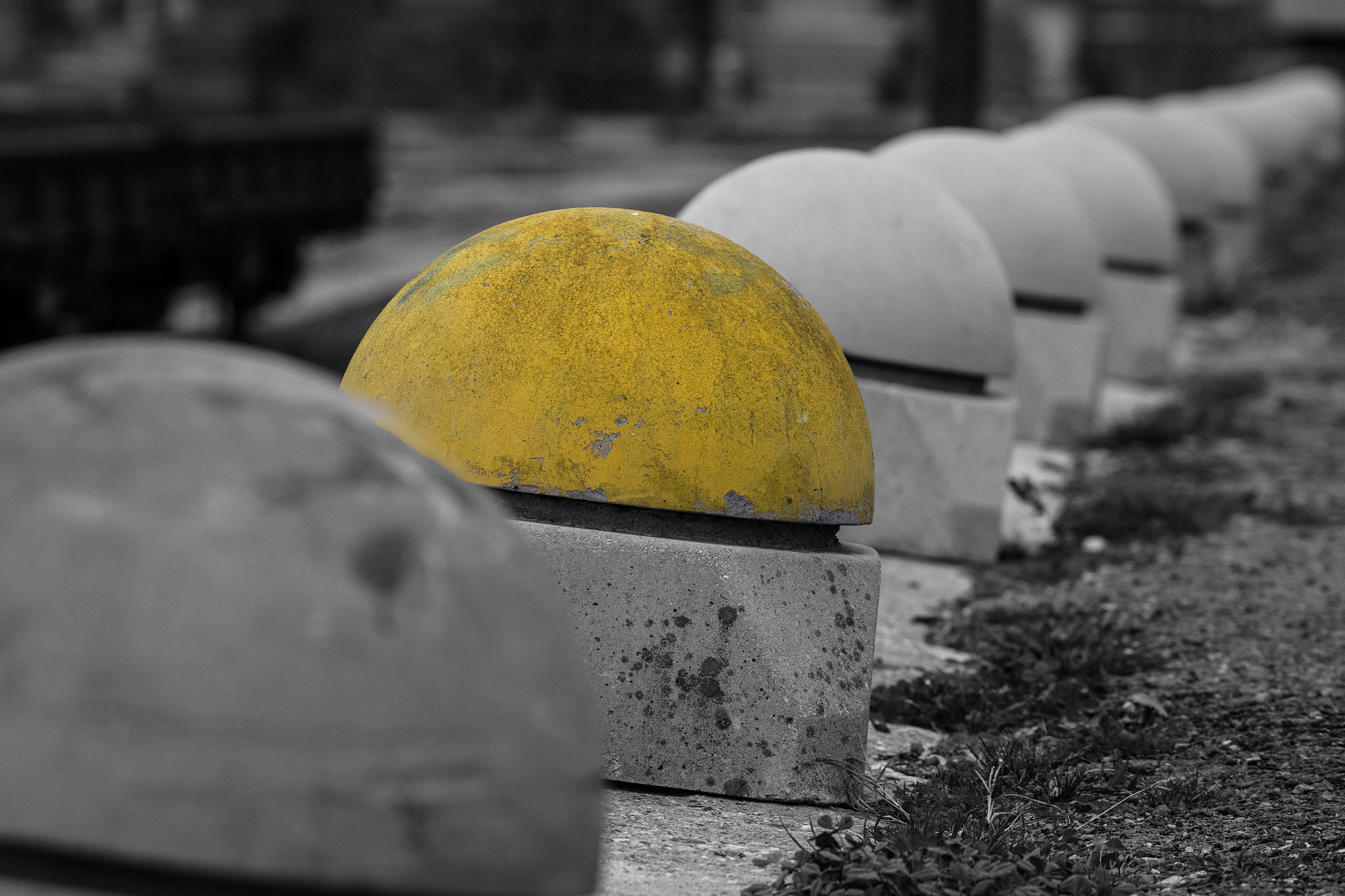 Canon EF 70-200mm F4L USM sample photo. A bright spot on a gray day photography