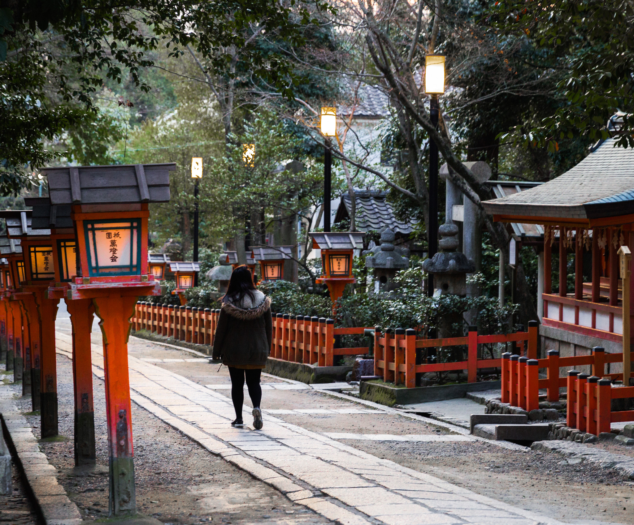 Canon EF 24-70mm F2.8L II USM sample photo. Yasaka photography
