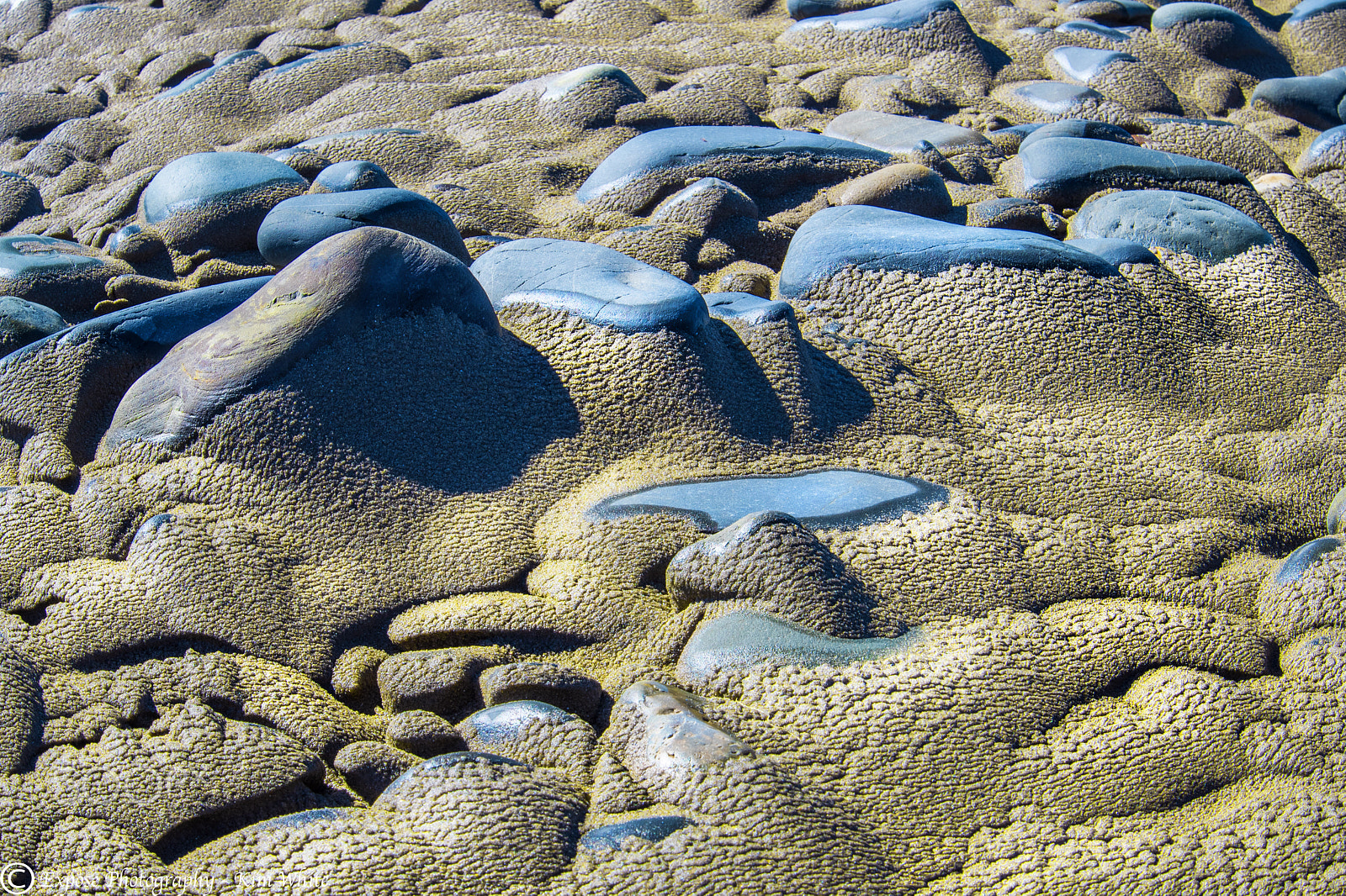 Nikon D500 sample photo. The texture of sand photography