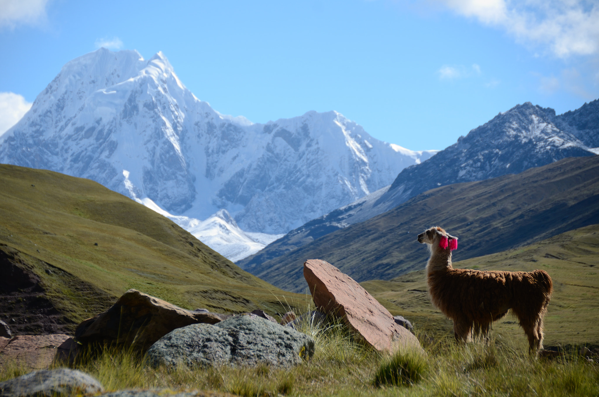 Sigma 18-200mm F3.5-6.3 II DC OS HSM sample photo. Asangate peru photography