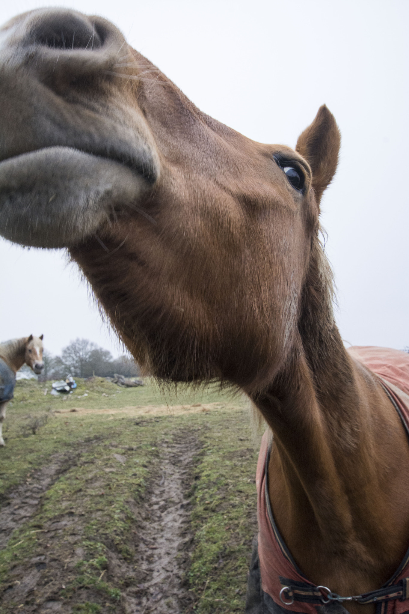 Nikon D7100 + Sigma 10-20mm F3.5 EX DC HSM sample photo