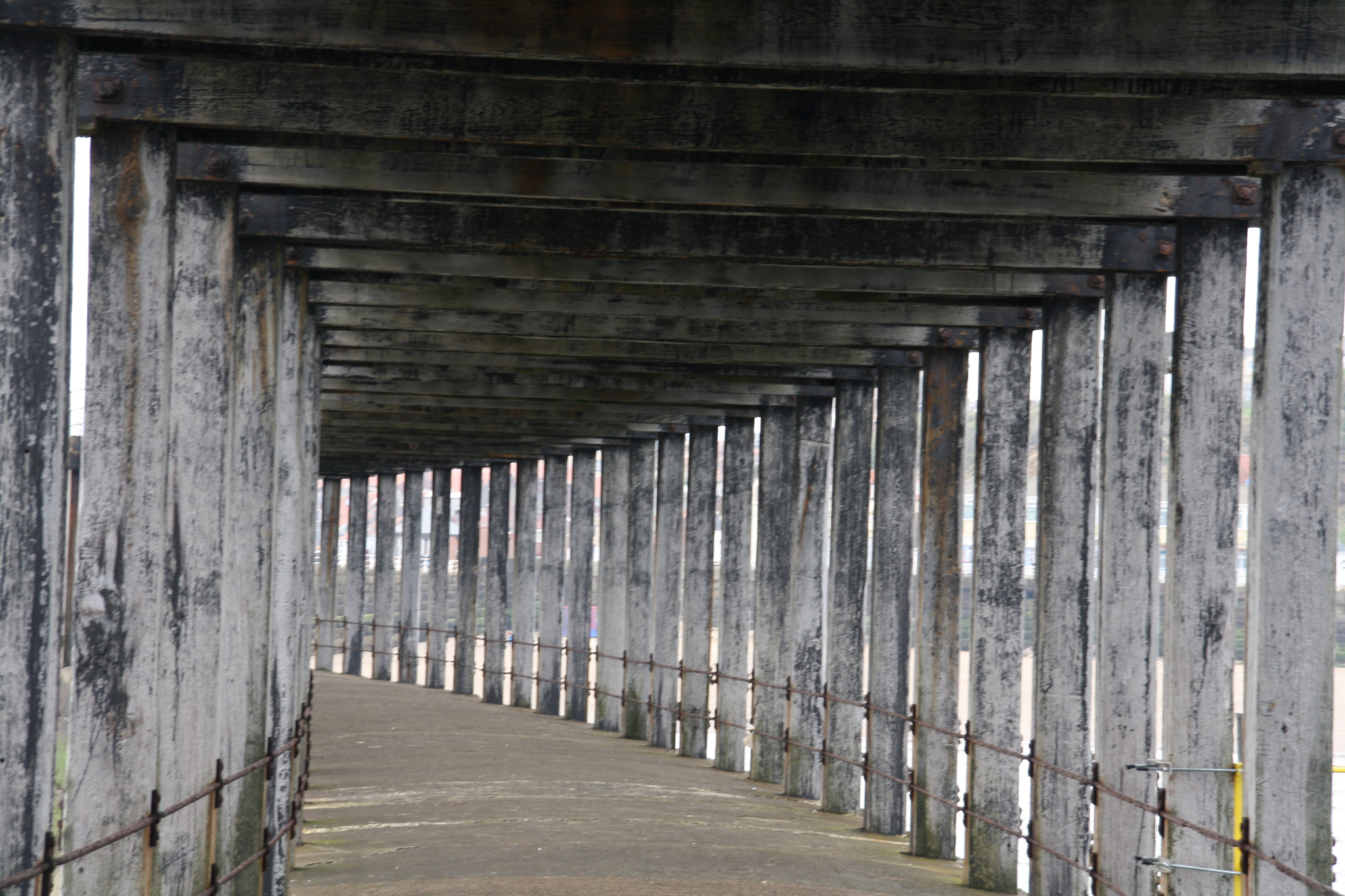 Sigma 18-200mm f/3.5-6.3 DC OS sample photo. Img photography