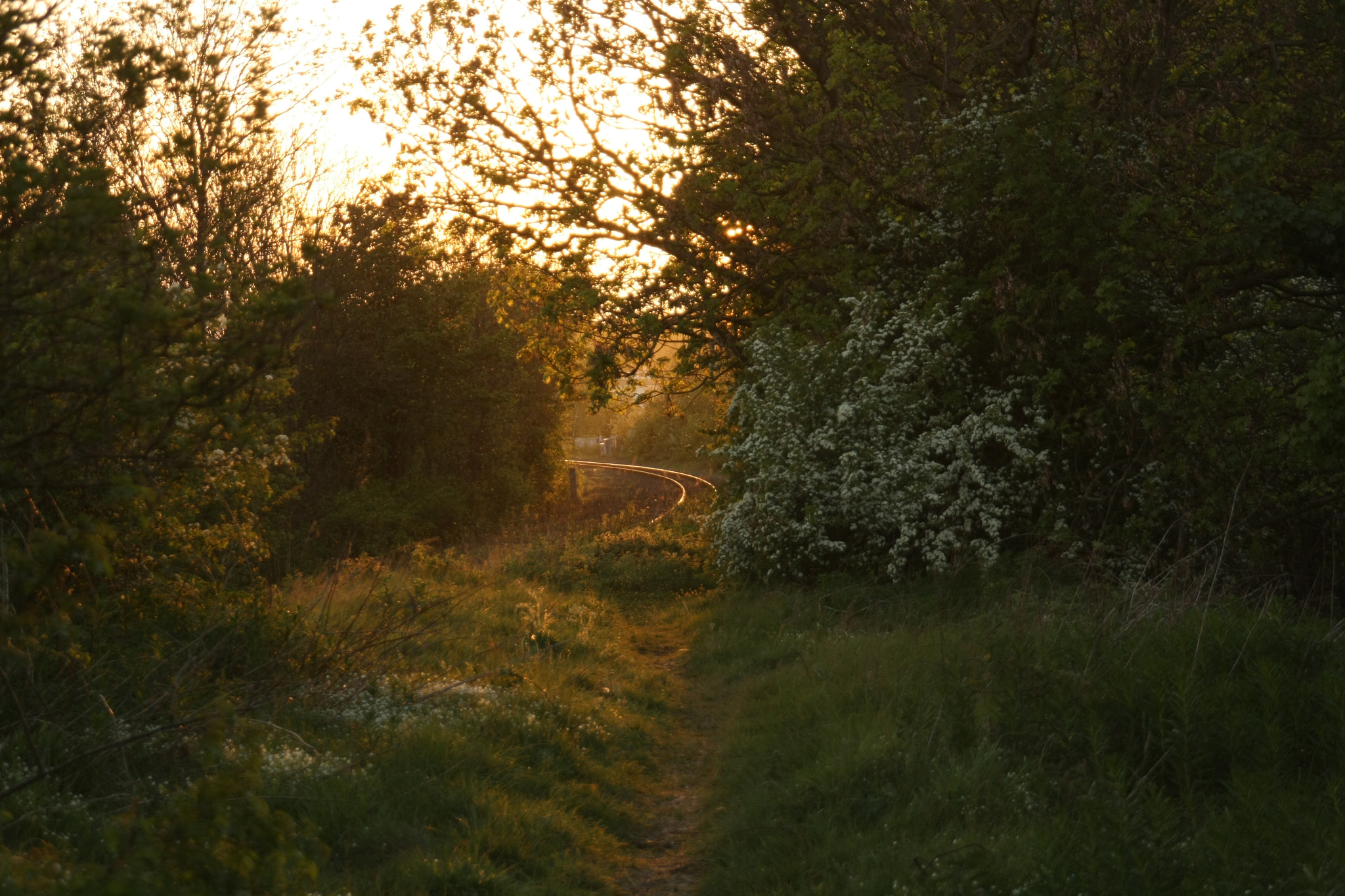 Sigma 18-200mm f/3.5-6.3 DC OS sample photo. Img photography