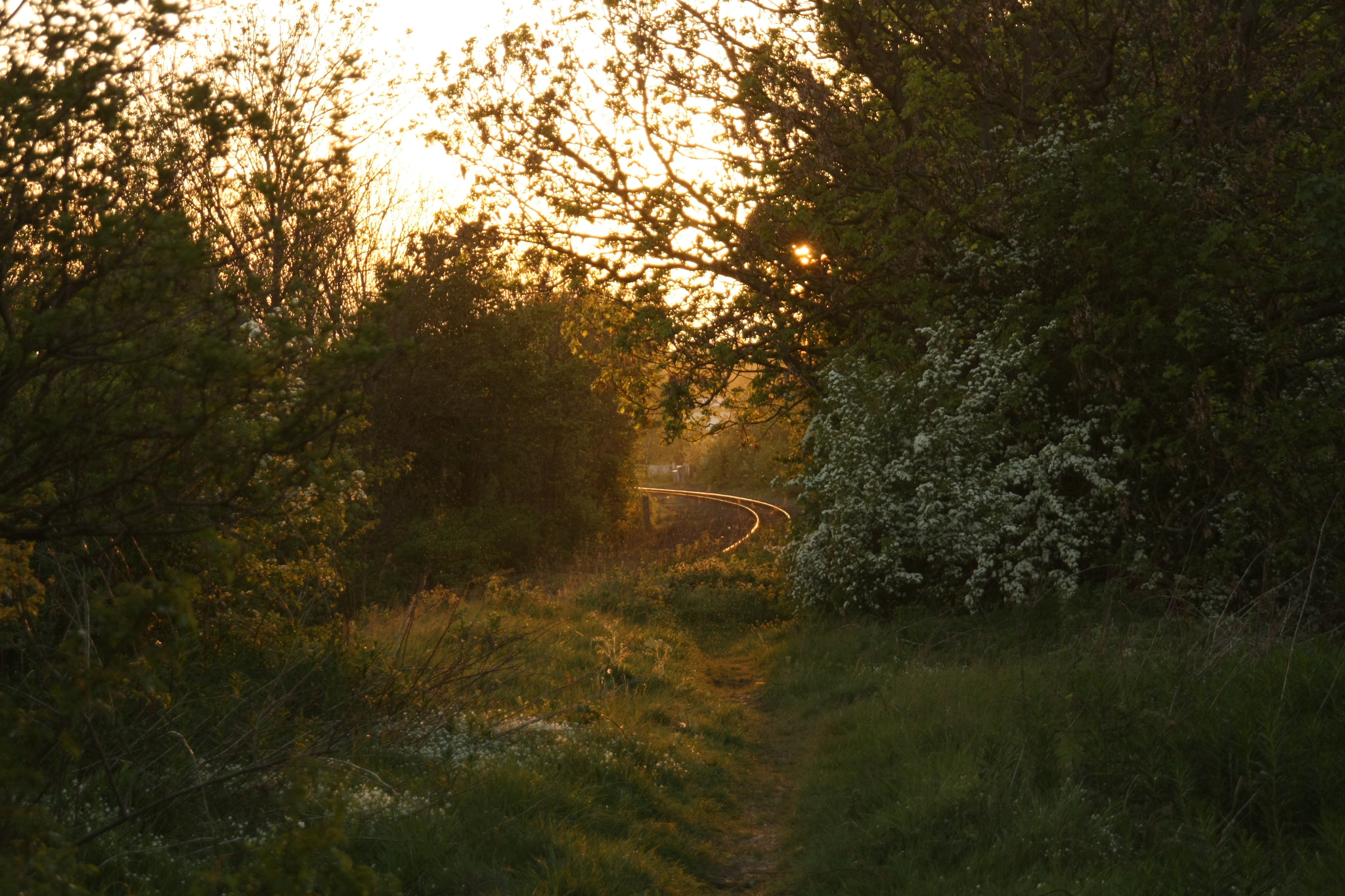 Sigma 18-200mm f/3.5-6.3 DC OS sample photo. Img photography