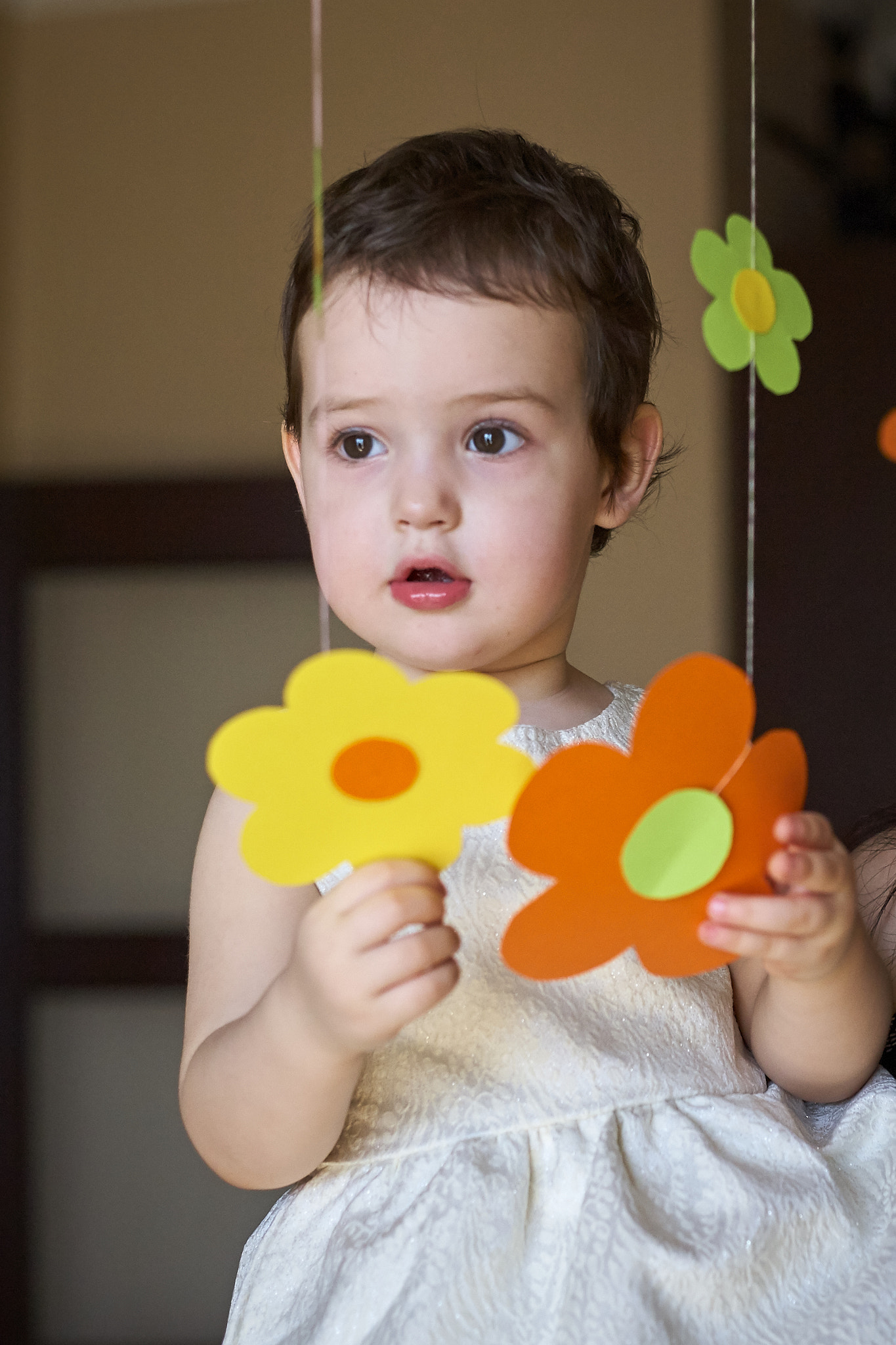 Canon EOS 5D + Canon EF 50mm f/1.8 sample photo. Img photography