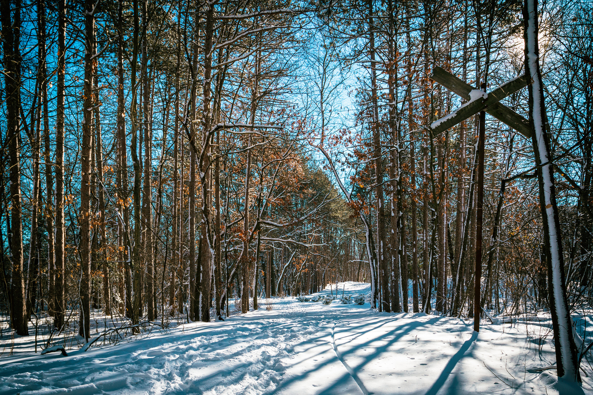 Canon EOS 70D + Canon EF 17-40mm F4L USM sample photo. Charles river reservation, needham, ma photography