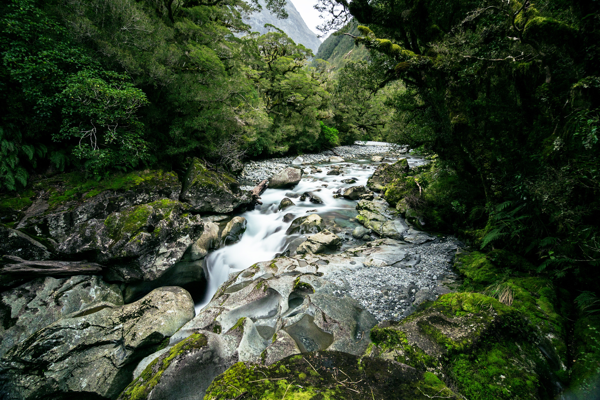 Sony a7R II + DT 0mm F0 SAM sample photo. The chasm in fiordland national park, nz photography