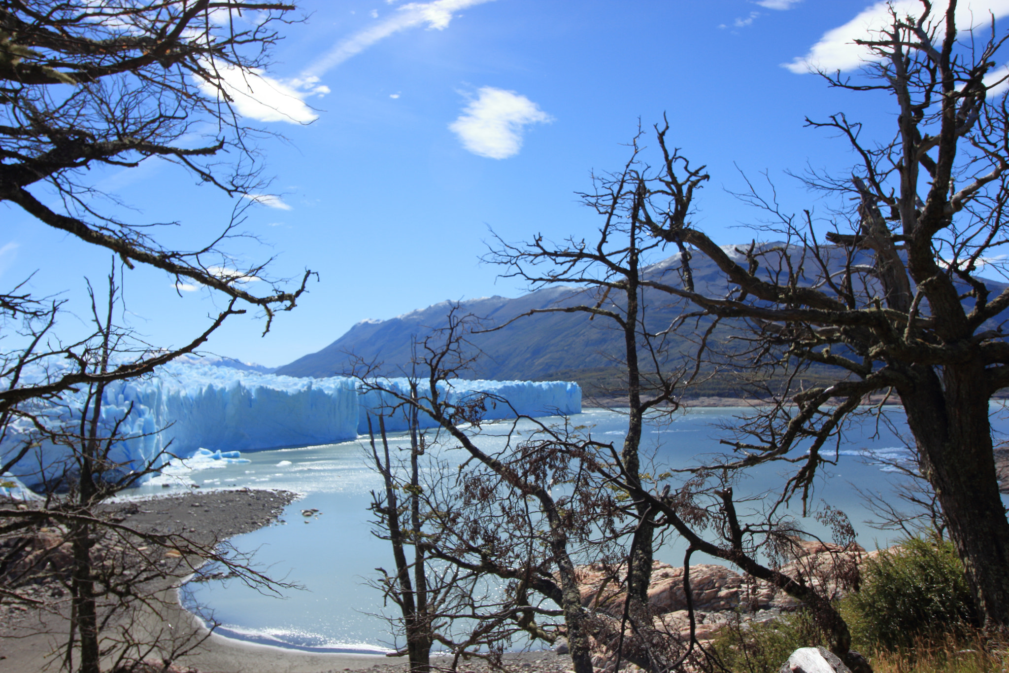 Canon EOS 600D (Rebel EOS T3i / EOS Kiss X5) sample photo. Trees photography