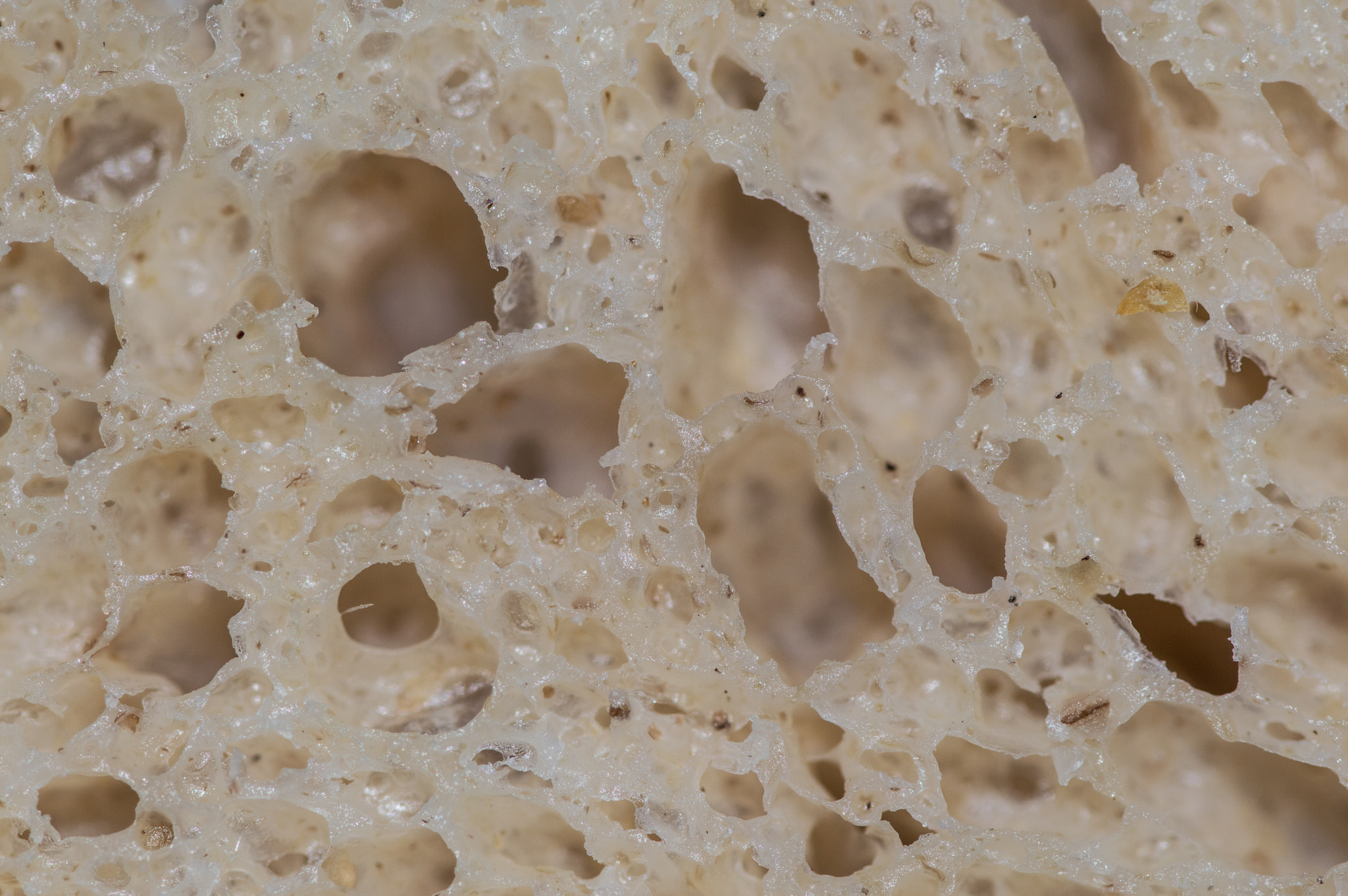 Sigma 105mm F2.8 EX DG OS HSM sample photo. Brood #1 photography