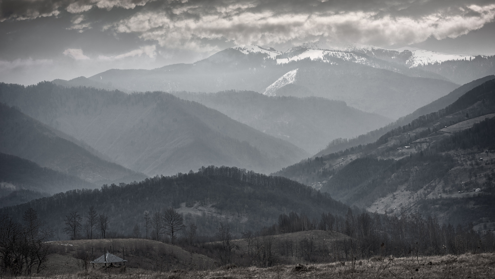 Nikon D810 + Nikon AF-Nikkor 80-200mm F2.8D ED sample photo. Up to the sky photography