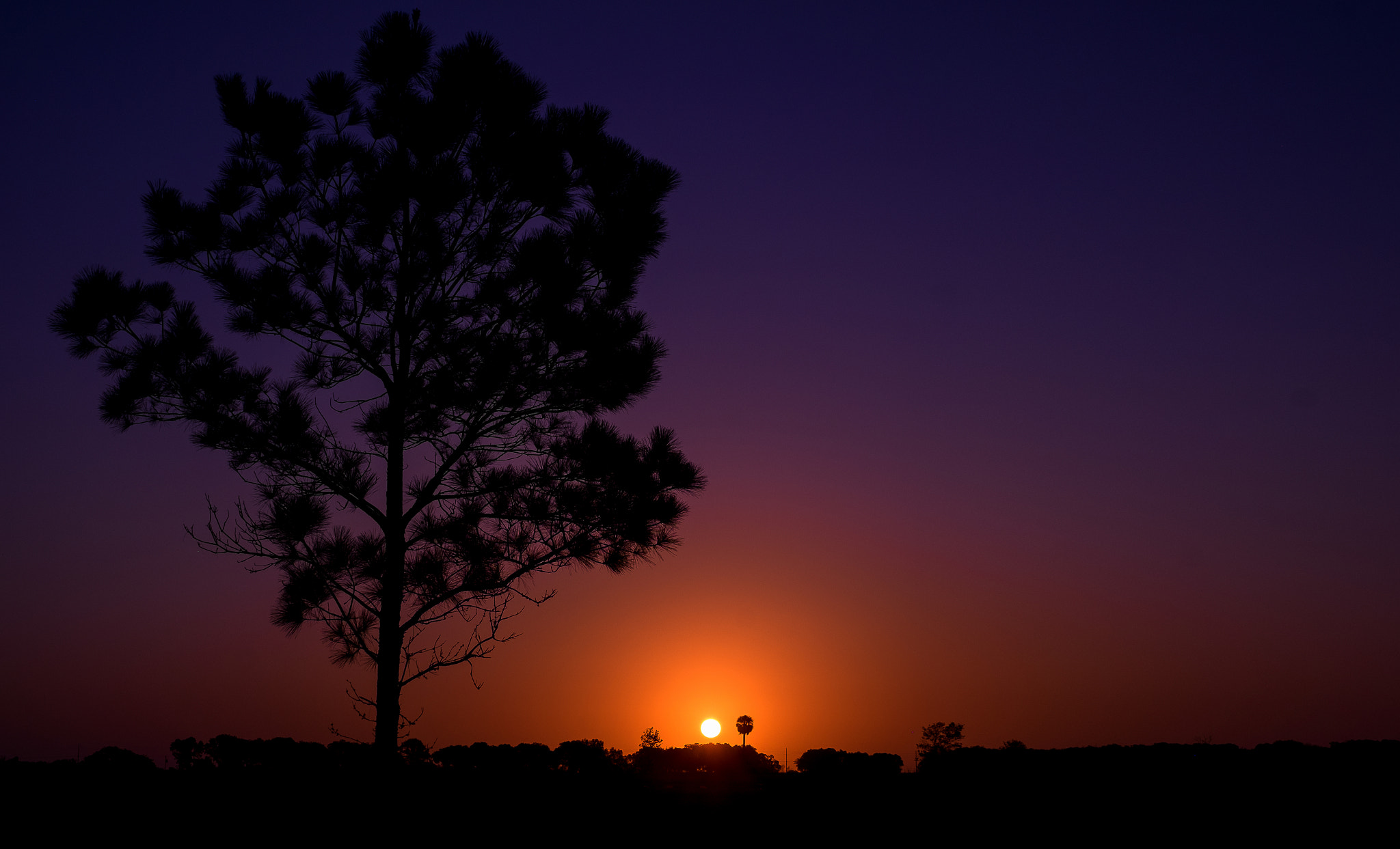 Fujifilm X-T1 + Fujifilm XF 35mm F1.4 R sample photo. Florida sunrise photography