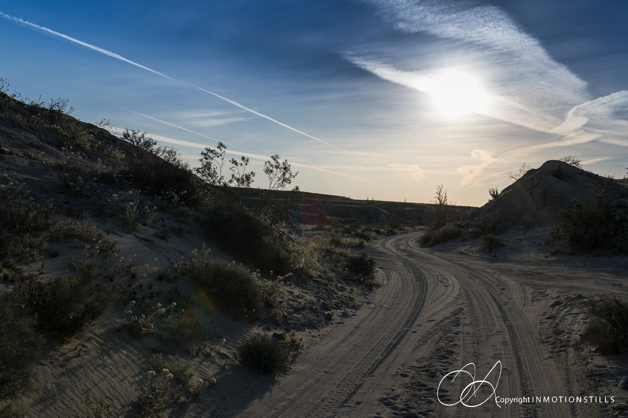 Sigma 35mm F1.4 DG HSM Art sample photo. Anza borrego early light photography