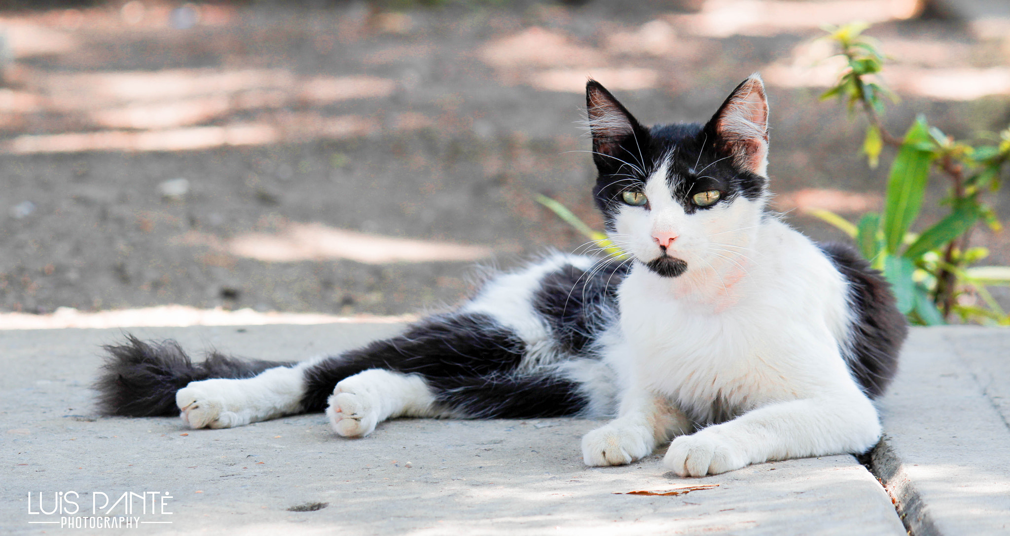 Canon EF-S 55-250mm F4-5.6 IS sample photo. Leave me alone photography