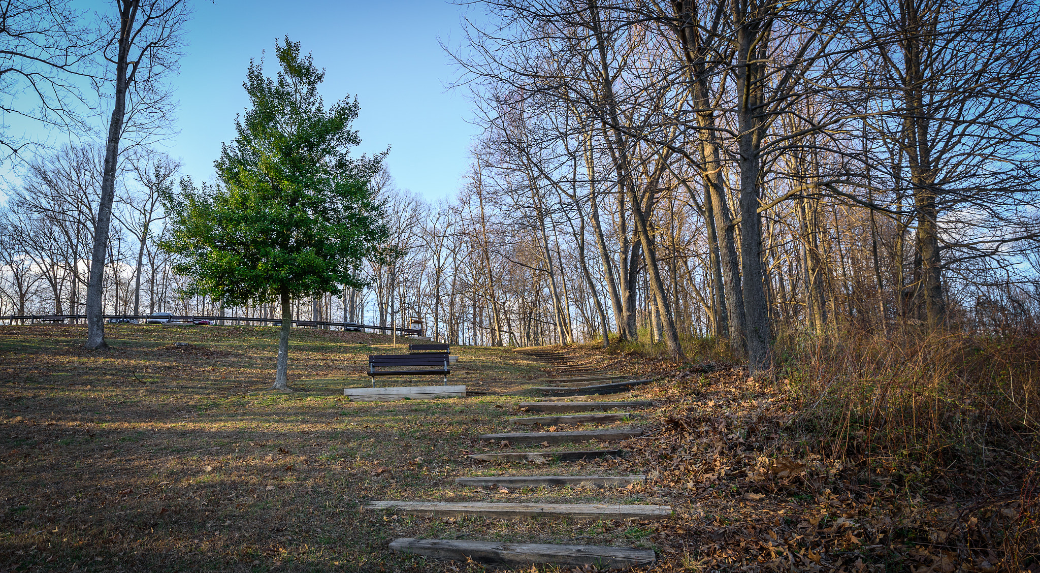 Tamron SP 15-30mm F2.8 Di VC USD sample photo. Have a sit for the view. photography