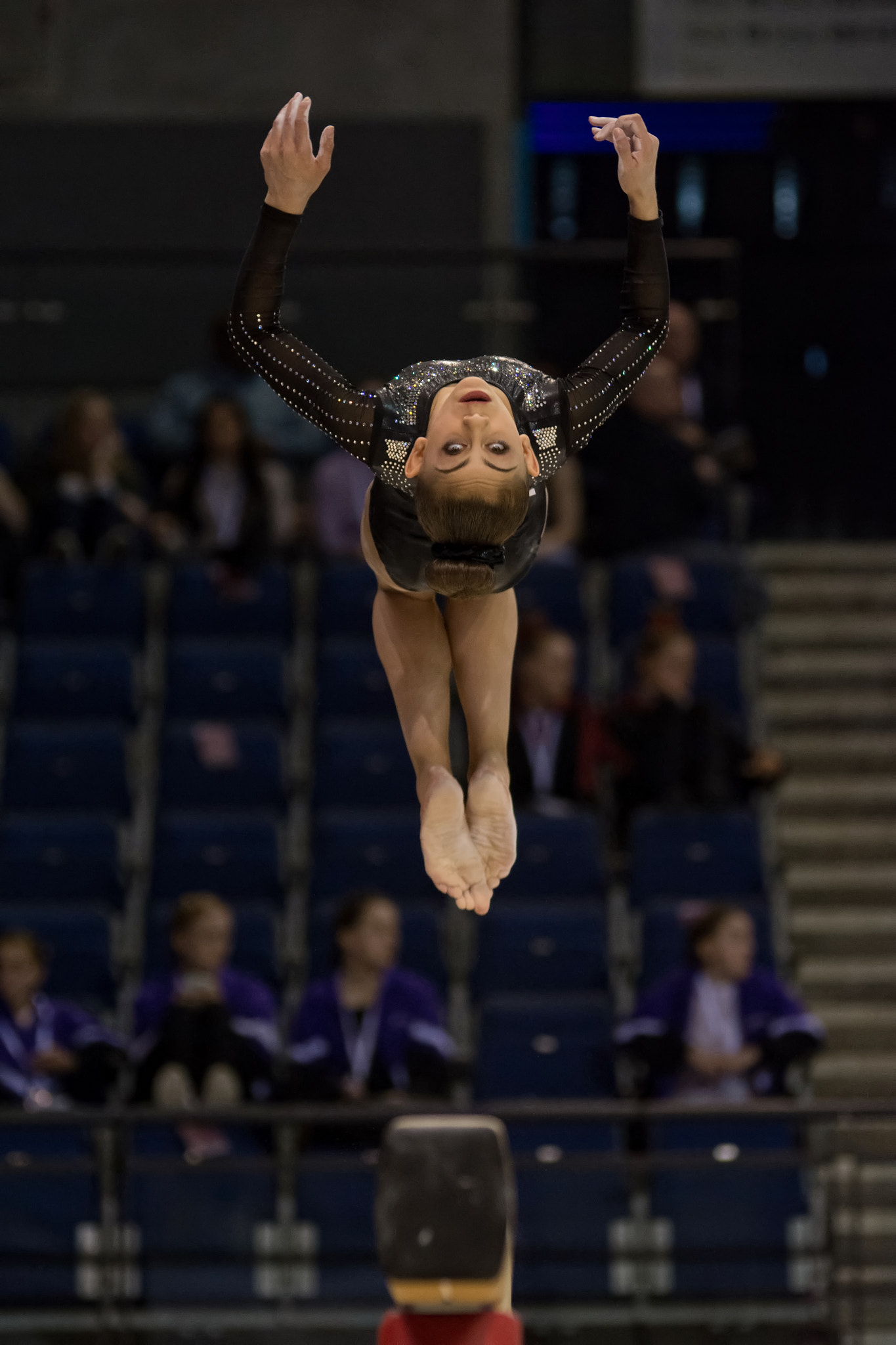 Nikon D7200 sample photo. Eyes on the beam photography