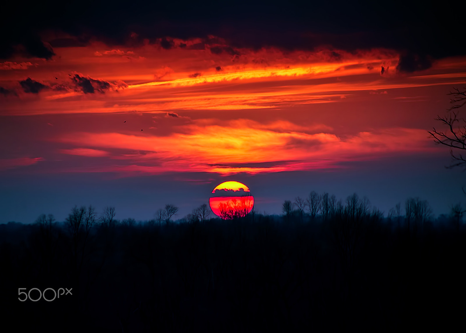Sigma 18-250mm F3.5-6.3 DC Macro OS HSM sample photo. Shelby's sunset photography