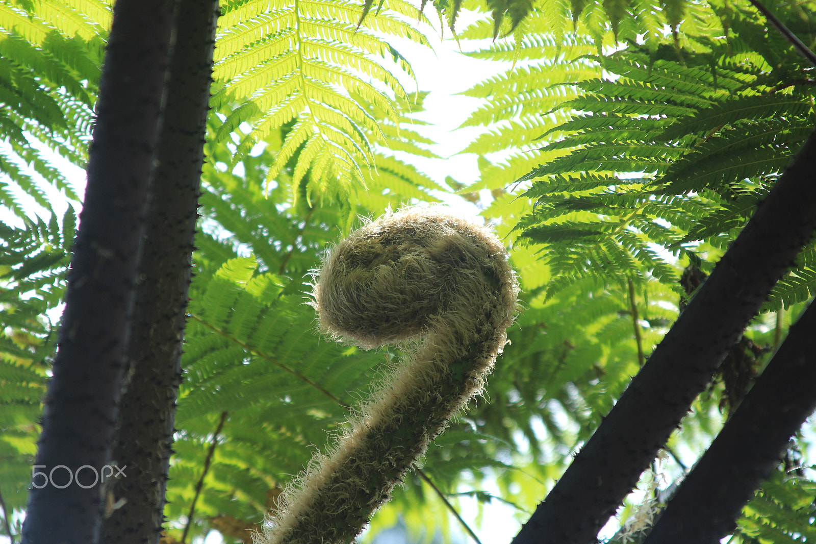 Canon EF 28-135mm F3.5-5.6 IS USM sample photo. Img photography