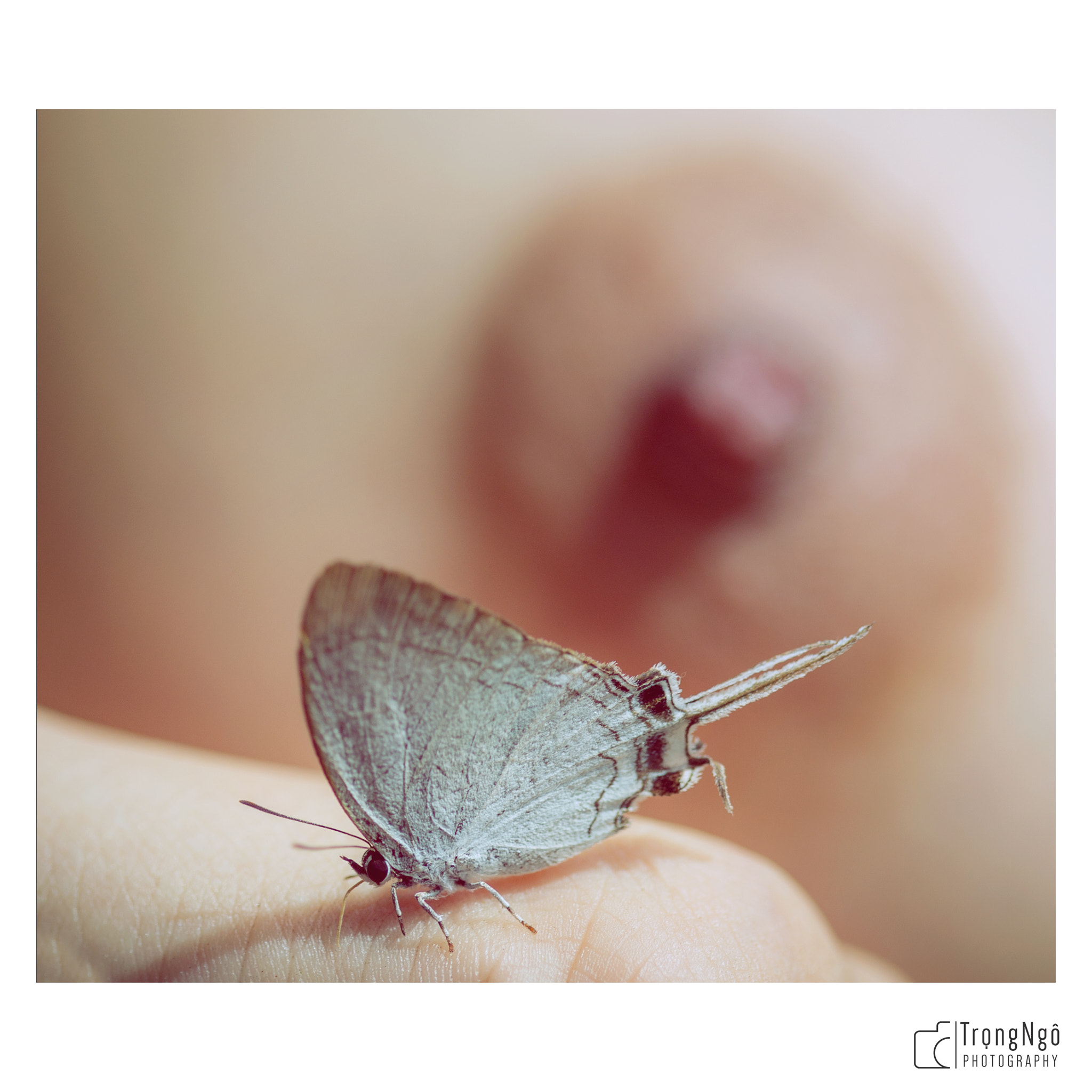 Canon EF 100mm F2.8 Macro USM sample photo. Nude mada photography