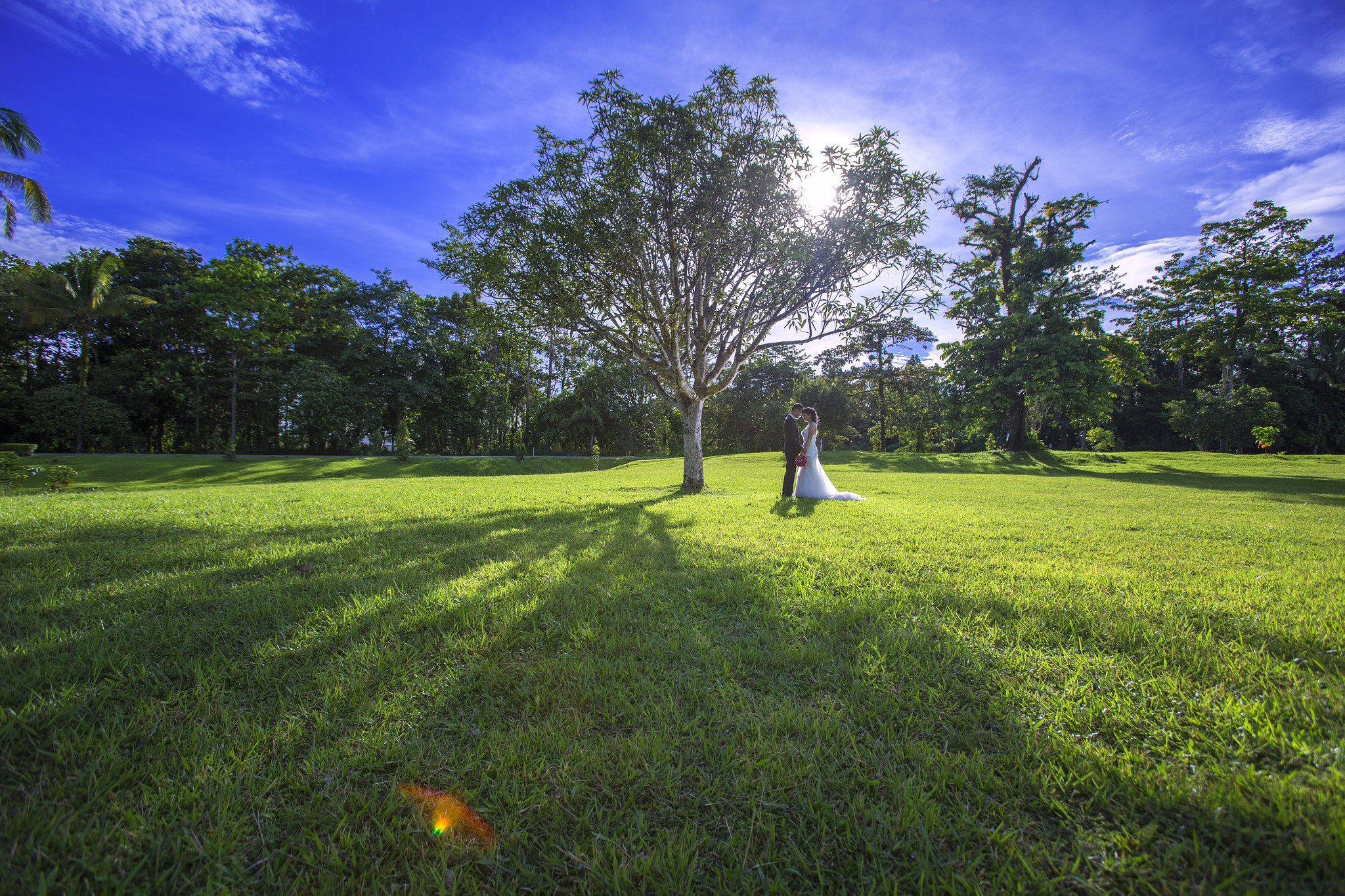 Canon EF 16-35mm F2.8L USM sample photo. Summer love photography
