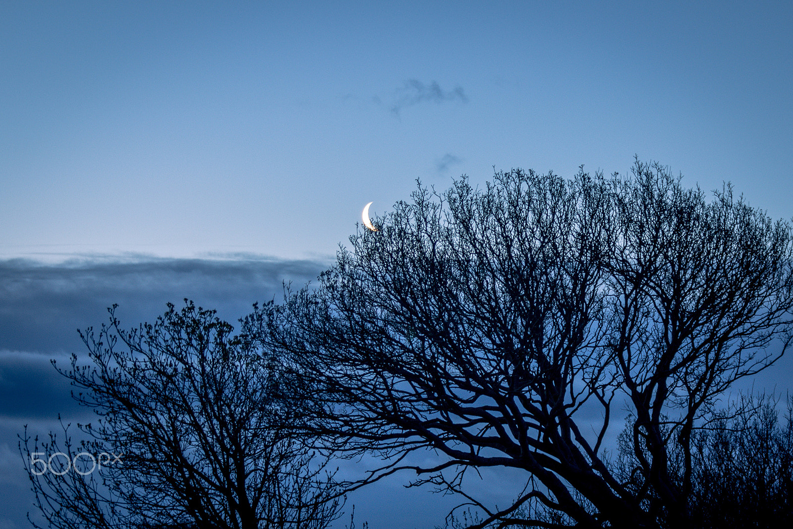 Canon EF 70-200mm F2.8L IS USM sample photo. Night to light photography