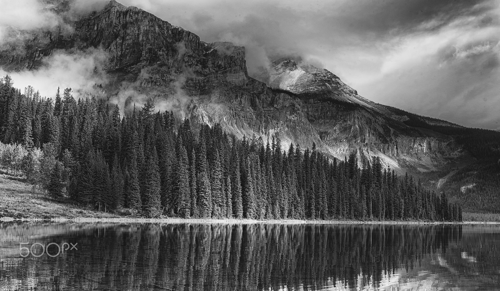 Canon EOS-1Ds Mark III sample photo. Emeraldbw photography