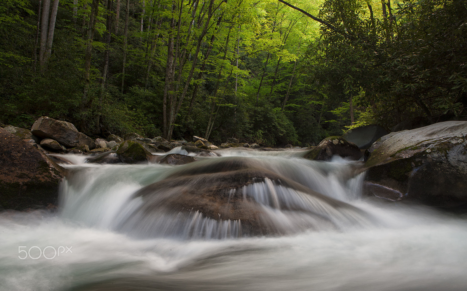 Canon EOS-1Ds Mark III sample photo. Bigcreek photography