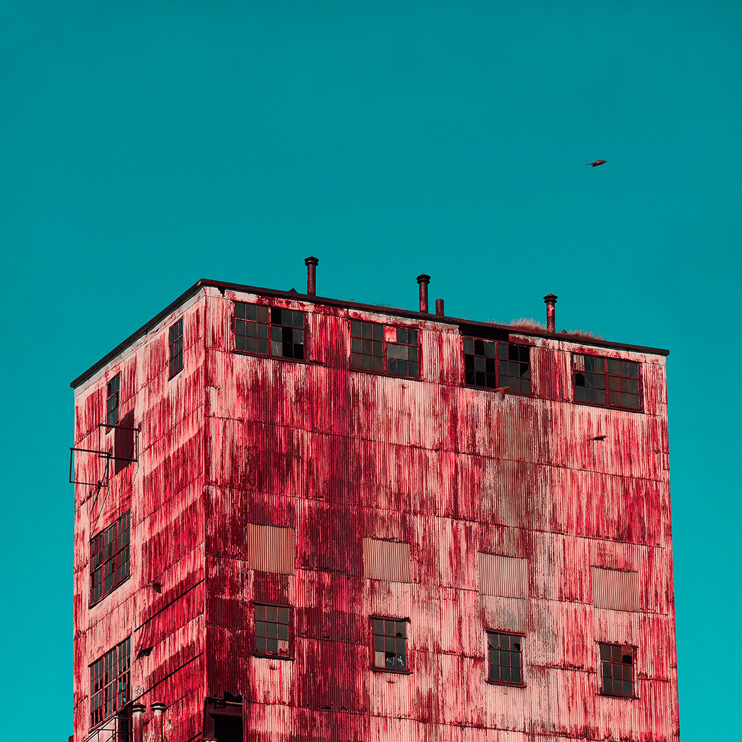 Nikon AF-S Micro-Nikkor 105mm F2.8G IF-ED VR sample photo. Montreal love by alexandre berthiaume photography