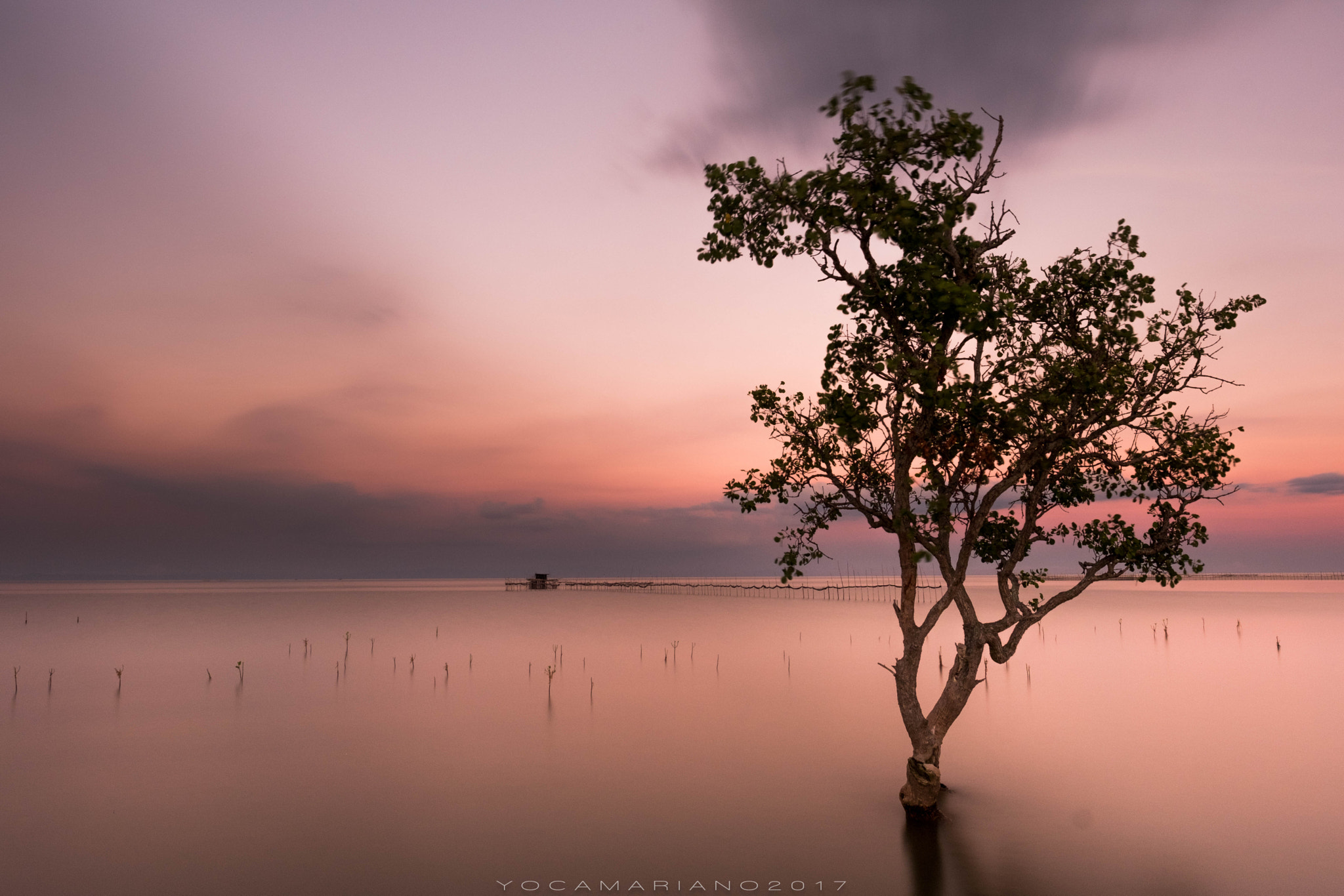 Fujifilm XF 16mm F1.4 R WR sample photo. Bakawan photography
