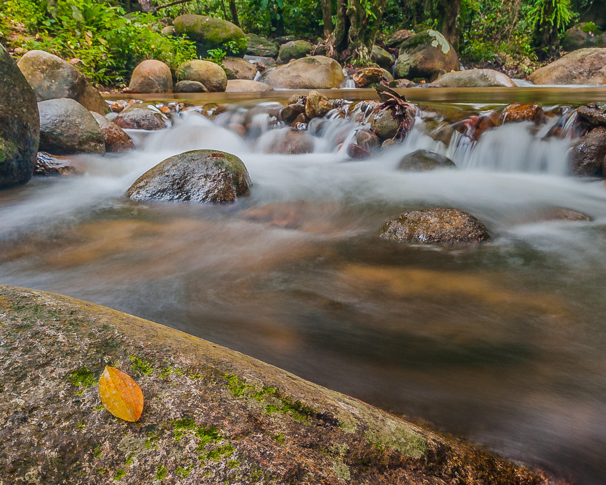 Nikon D700 sample photo. Sendat river, malaysia photography