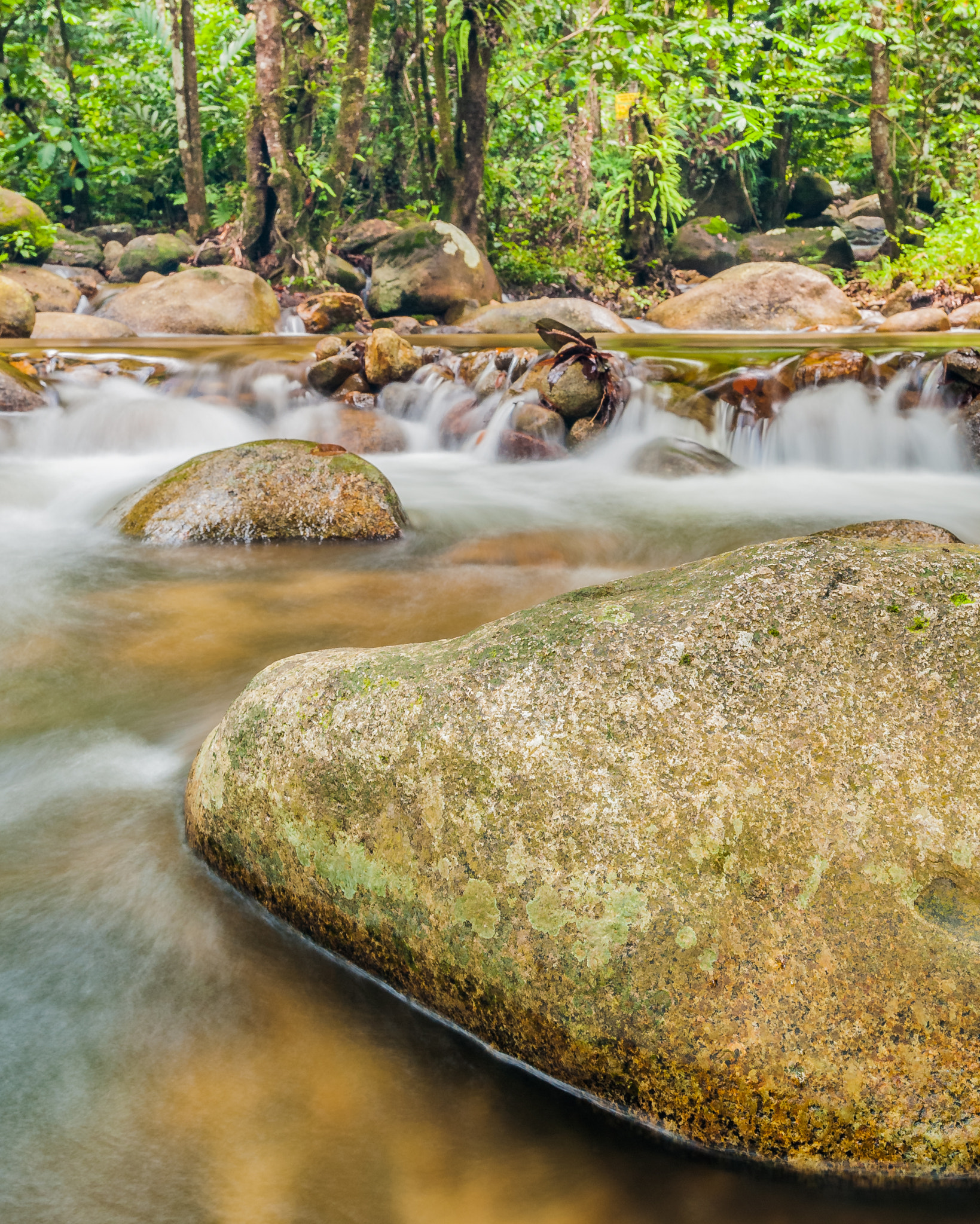 Nikon AF-S Nikkor 17-35mm F2.8D ED-IF sample photo. Sendat river, malaysia photography