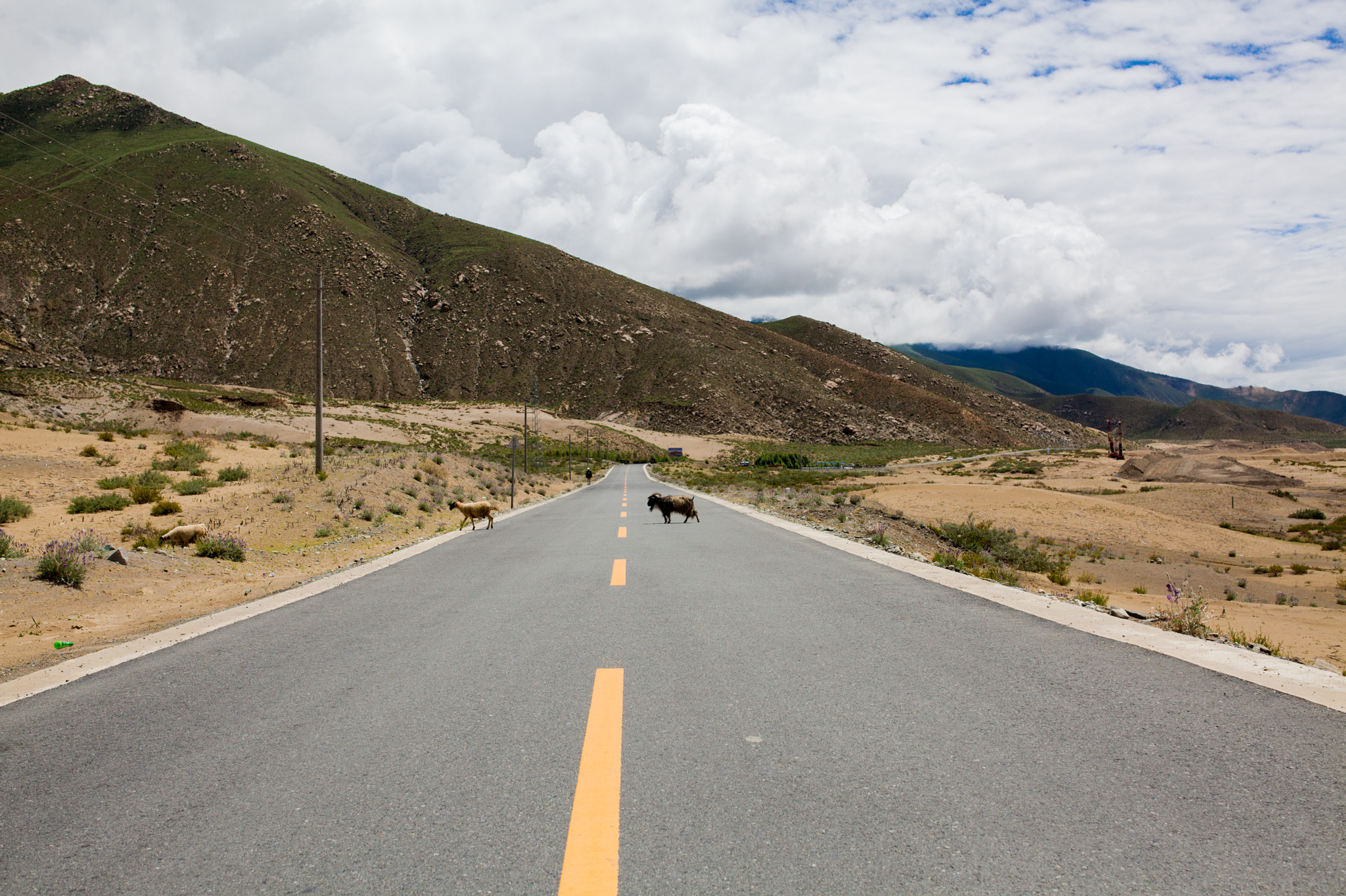 Sigma 35mm F1.4 DG HSM Art sample photo. Tibet photography