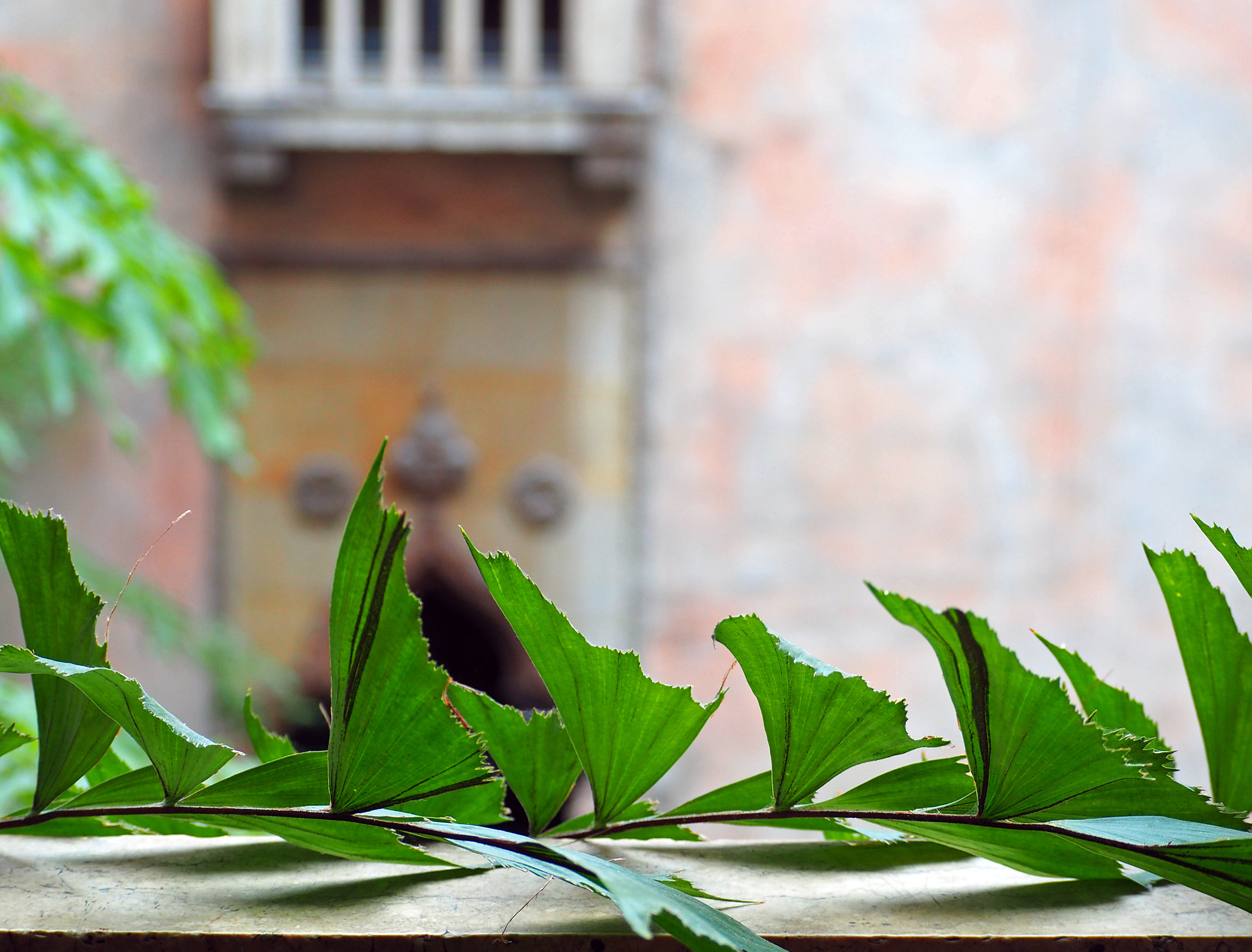 Olympus OM-D E-M5 II sample photo. View of courtyard photography