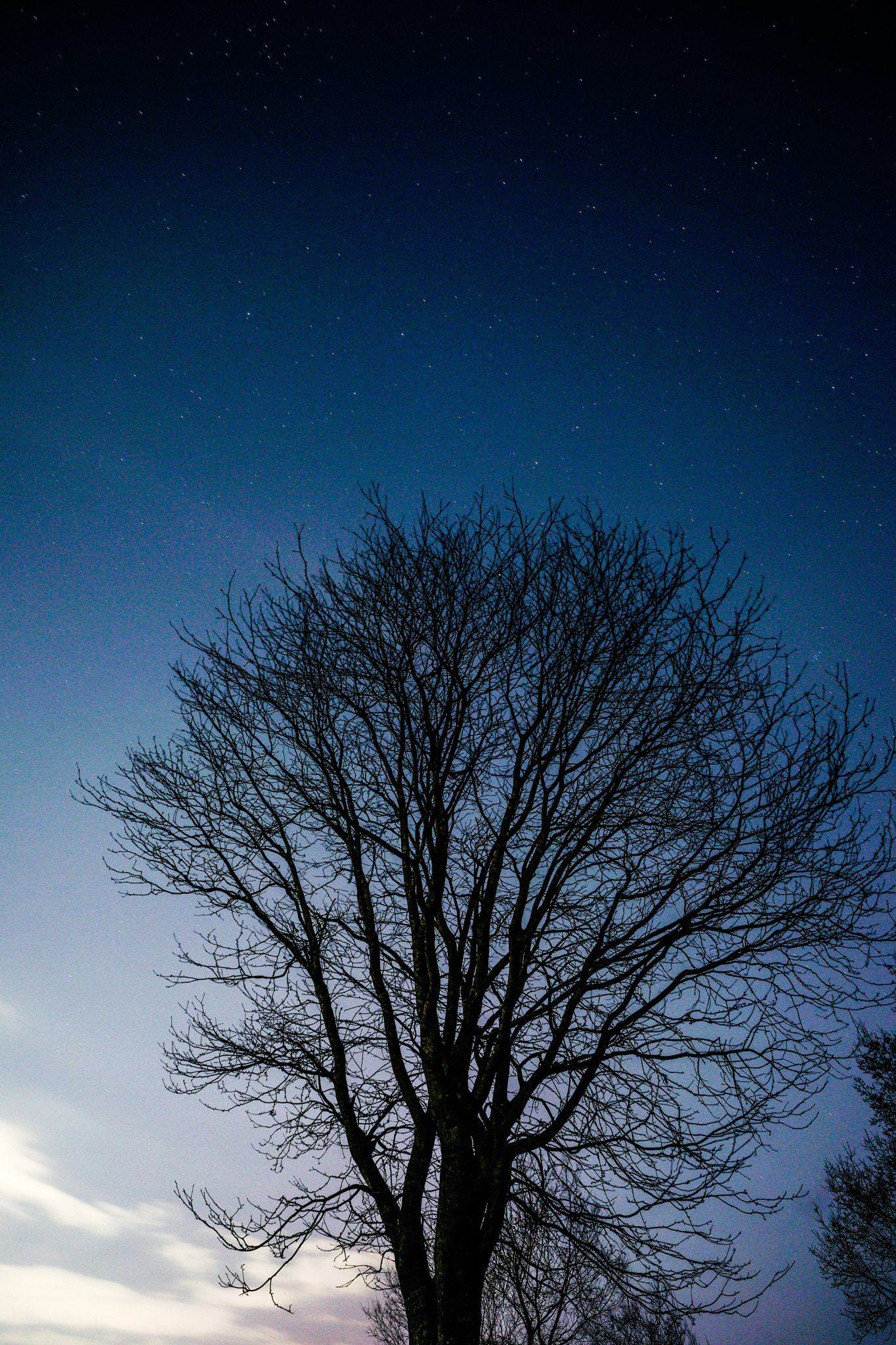 E 20mm F2 sample photo. Hira hill in saitama-pref, jp photography