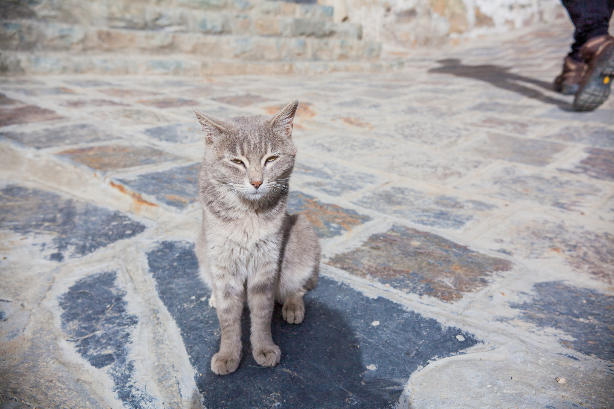 Sigma 18-35mm f/1.8 DC HSM sample photo. Tibet photography