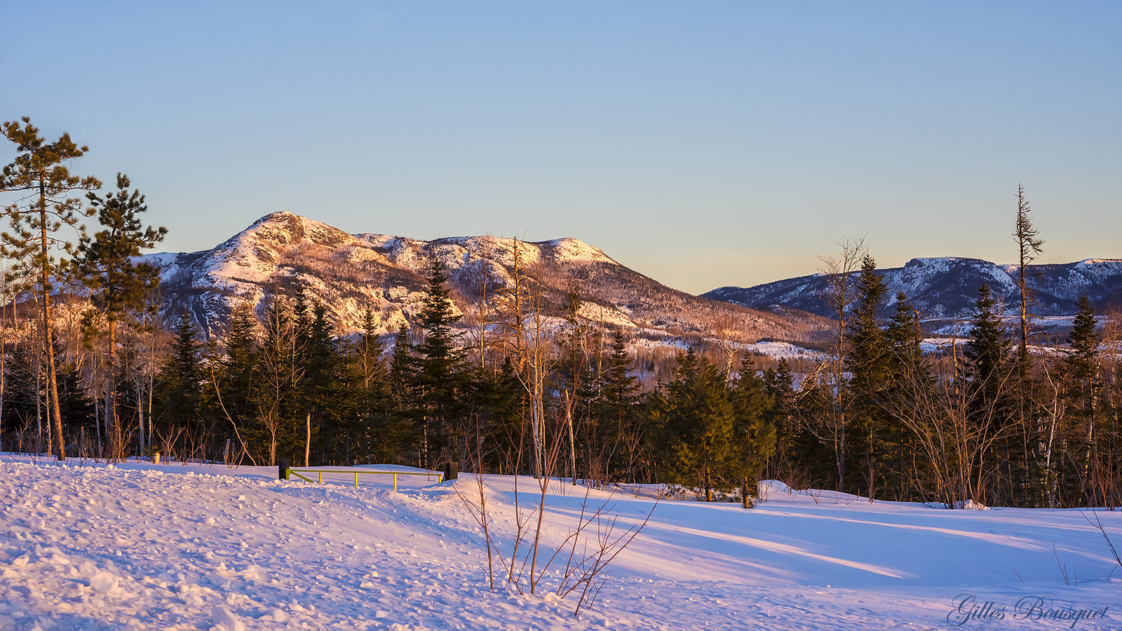 Nikon D810 + Nikon AF-S Micro-Nikkor 60mm F2.8G ED sample photo. Parc des grands jardins photography