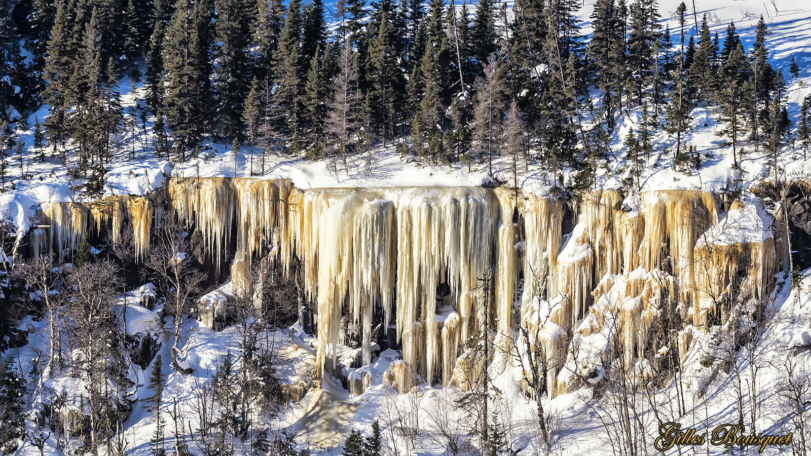 Nikon D810 sample photo. Parc des grands jardins photography