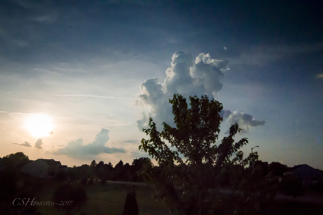 Canon EOS 600D (Rebel EOS T3i / EOS Kiss X5) sample photo. Cloud over tree photography