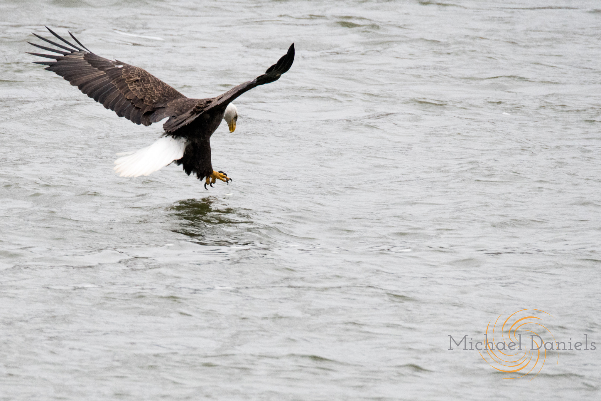 Sigma 150-600mm F5-6.3 DG OS HSM | S sample photo