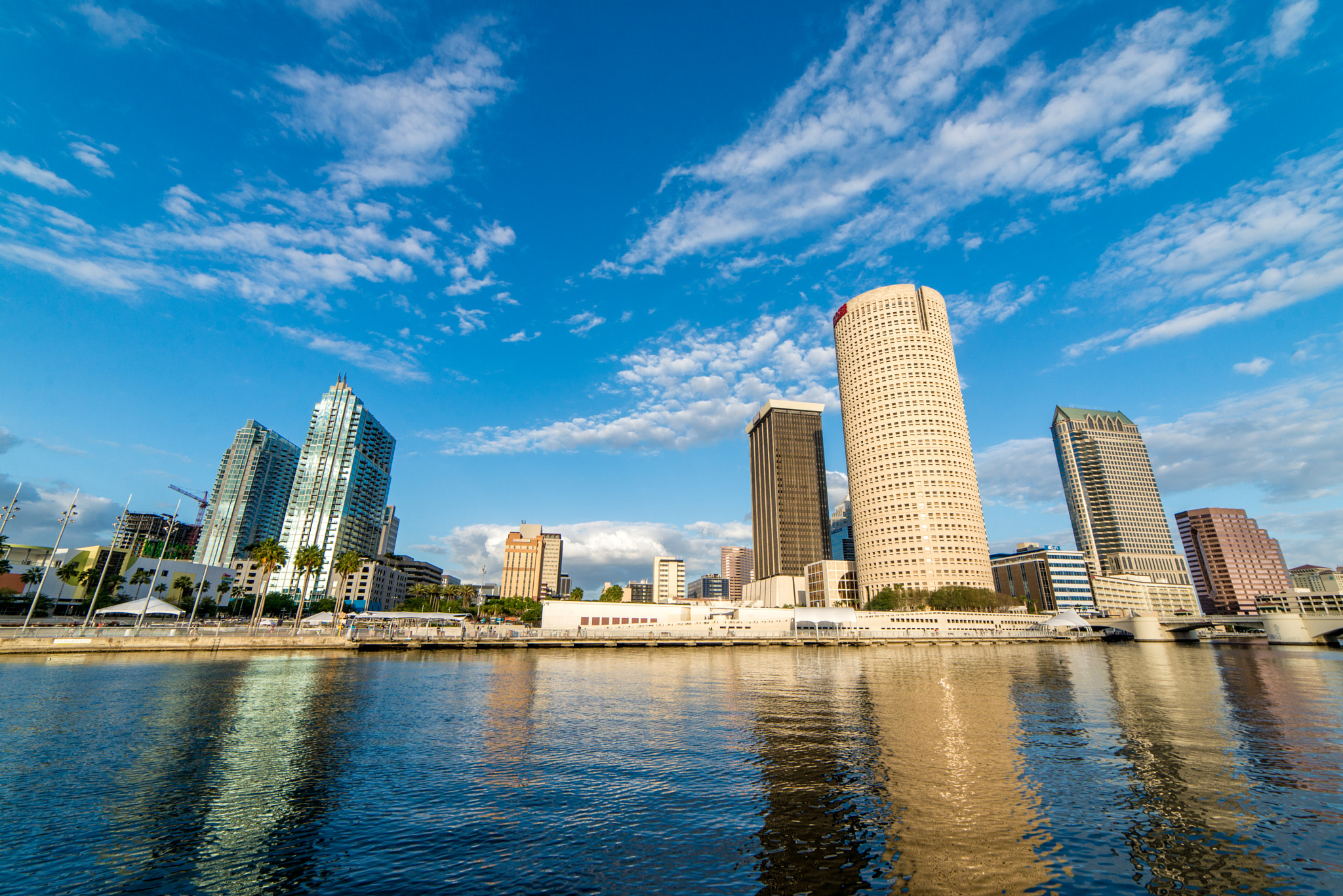 Samyang 14mm F2.8 ED AS IF UMC sample photo. Tampa photography