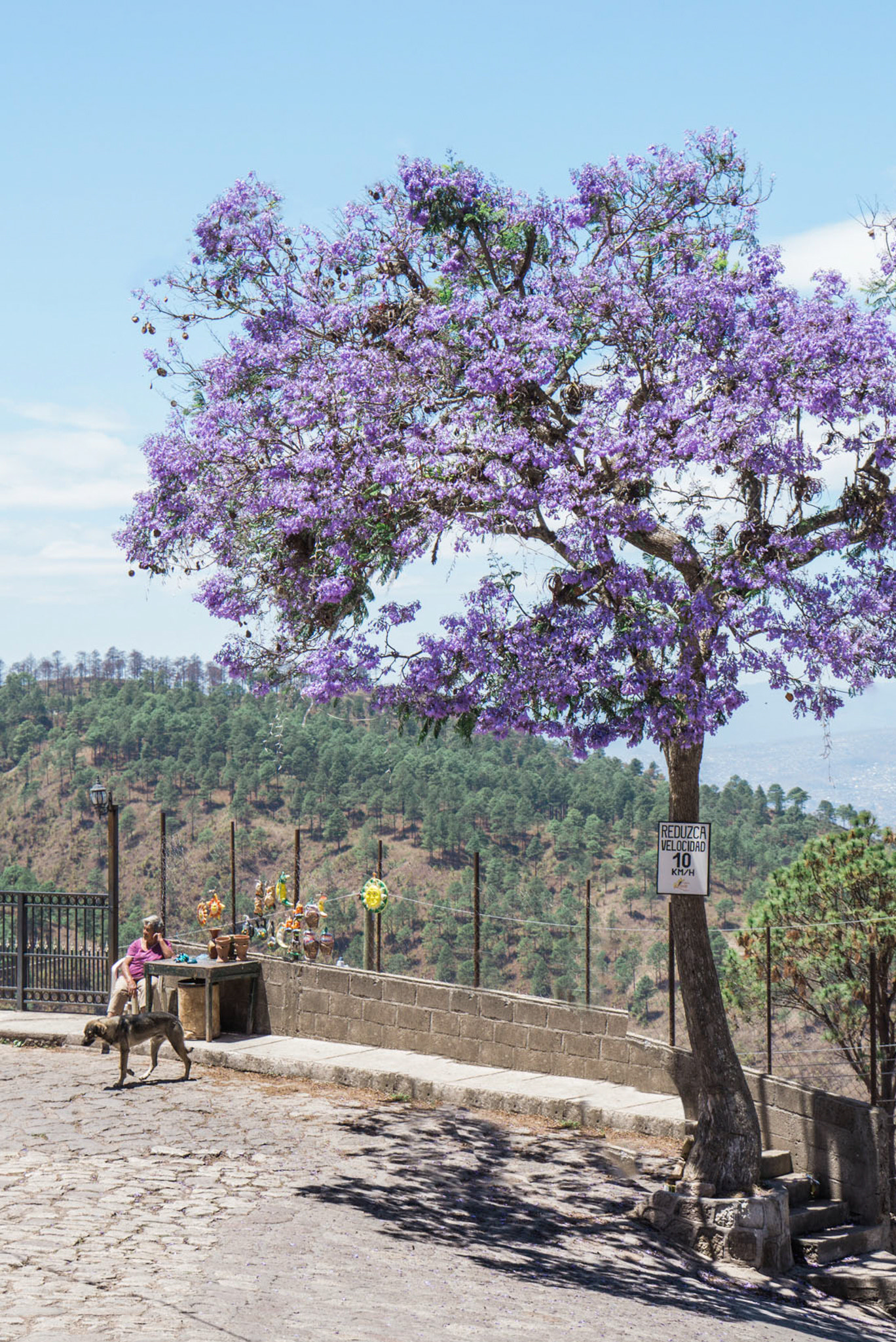 Sony a6000 + Sony E 18-200mm F3.5-6.3 OSS sample photo. Santa lucía photography