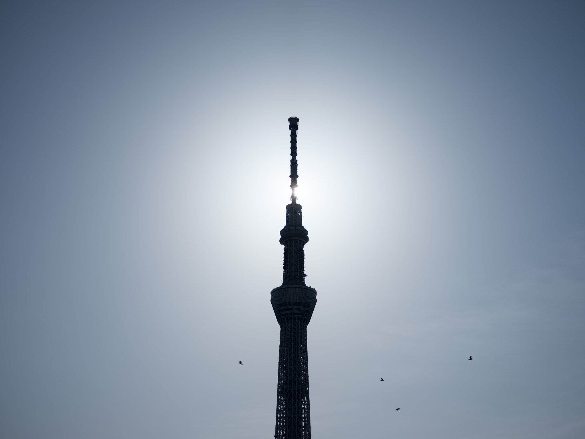 Fujifilm GFX 50S + Fujifilm GF 63mm F2.8 R WR sample photo. Sun bite photography