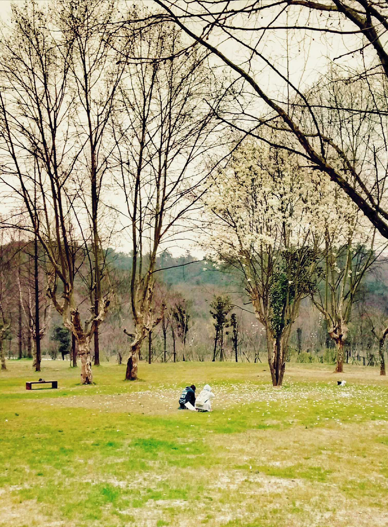 Meizu m3 note sample photo