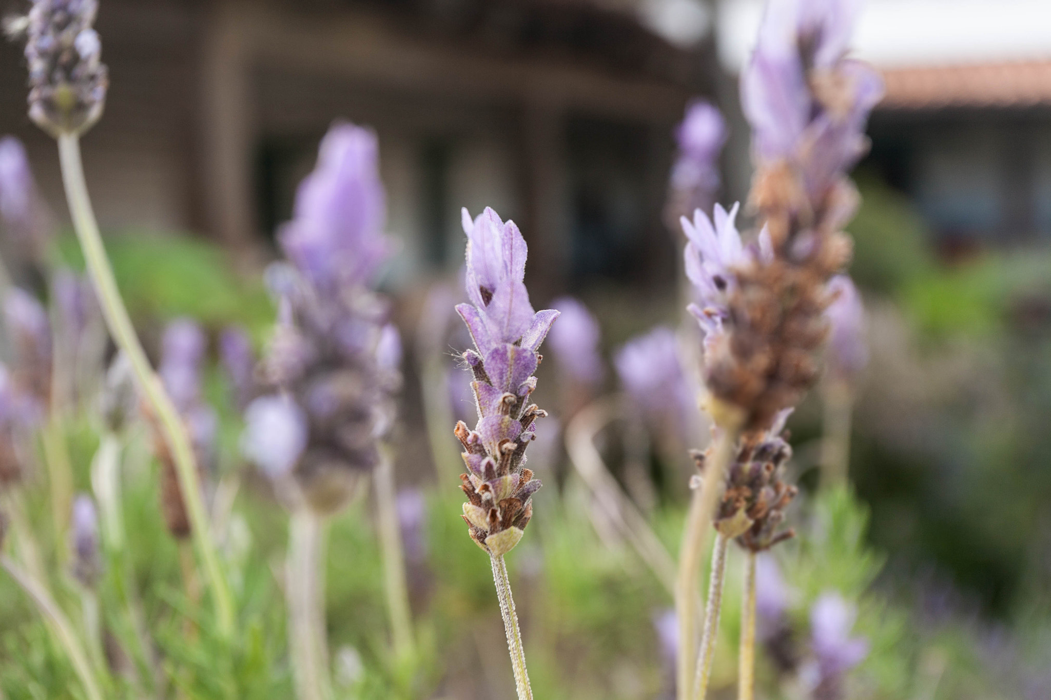 Canon EOS 5D + Canon EF 17-40mm F4L USM sample photo. One of many photography