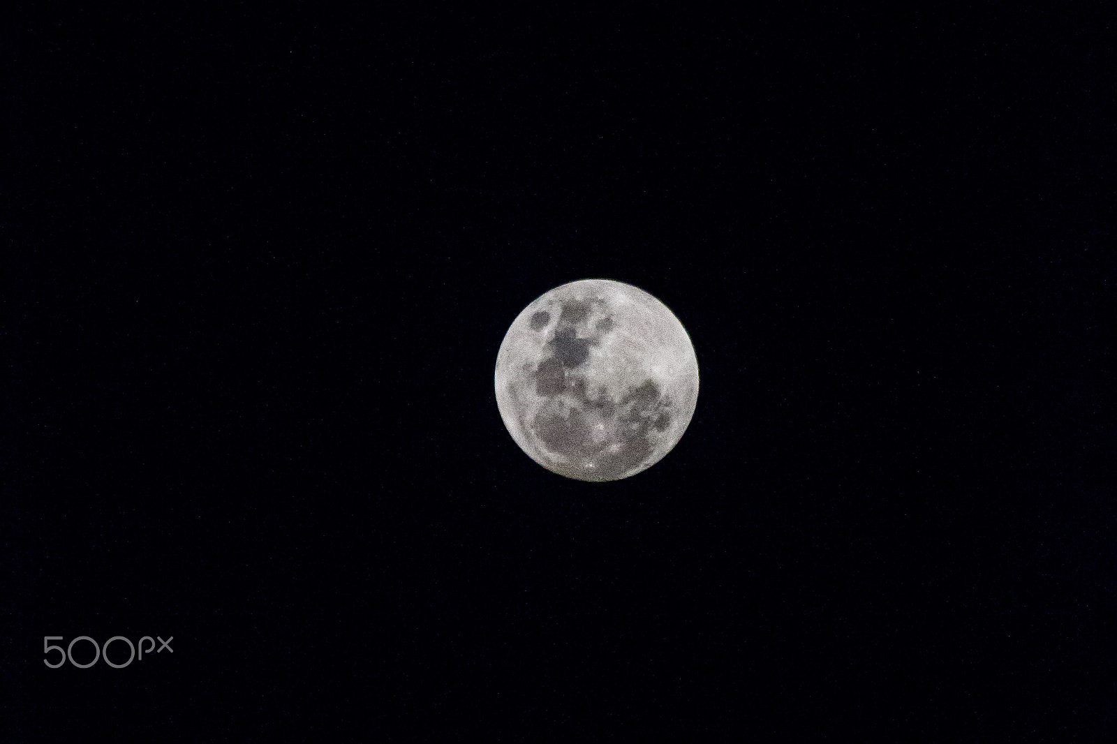 Canon EOS 600D (Rebel EOS T3i / EOS Kiss X5) + EF75-300mm f/4-5.6 sample photo. The guardian photography