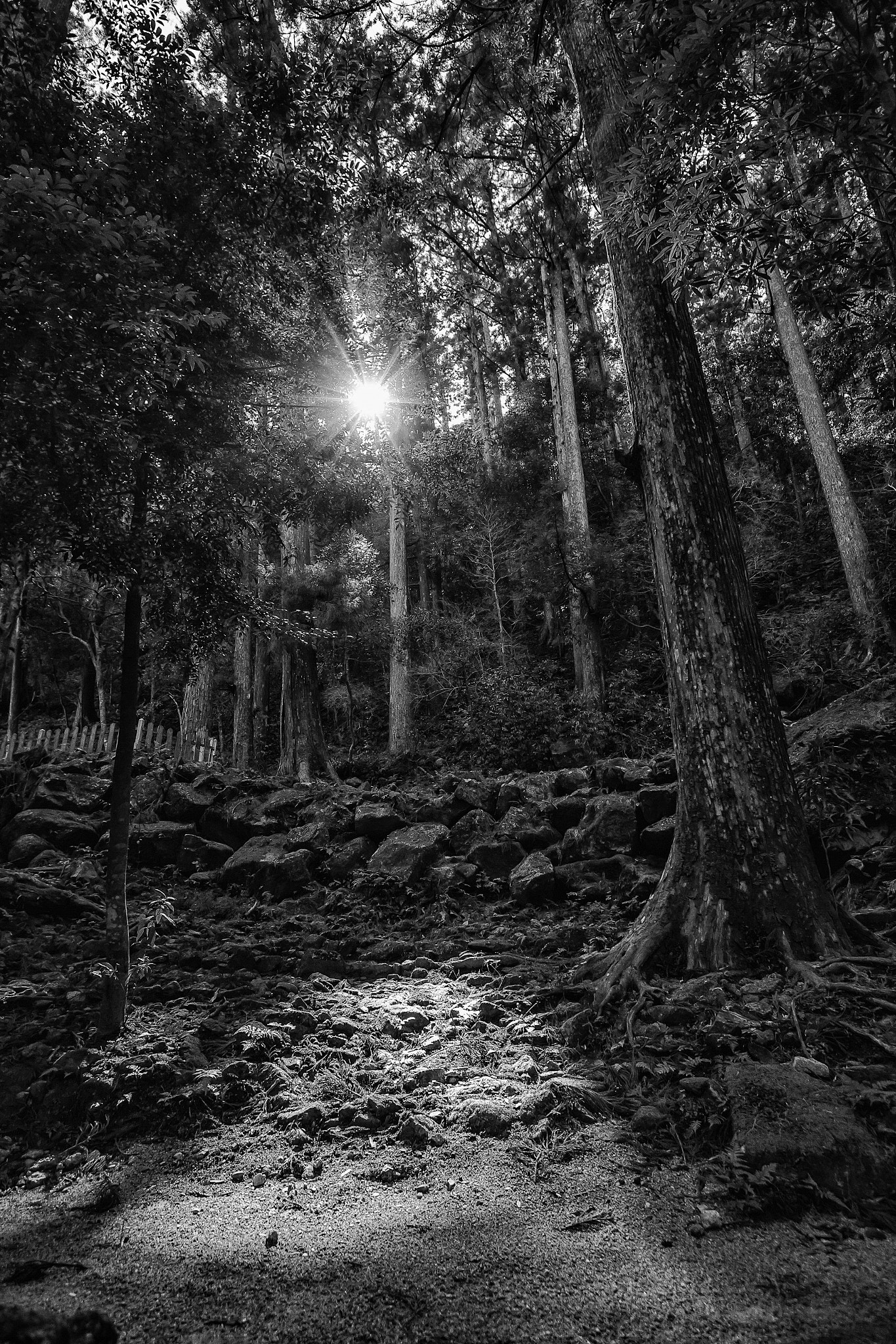 Canon EF-S 10-22mm F3.5-4.5 USM sample photo. My world - japan nachi fall path 04 photography